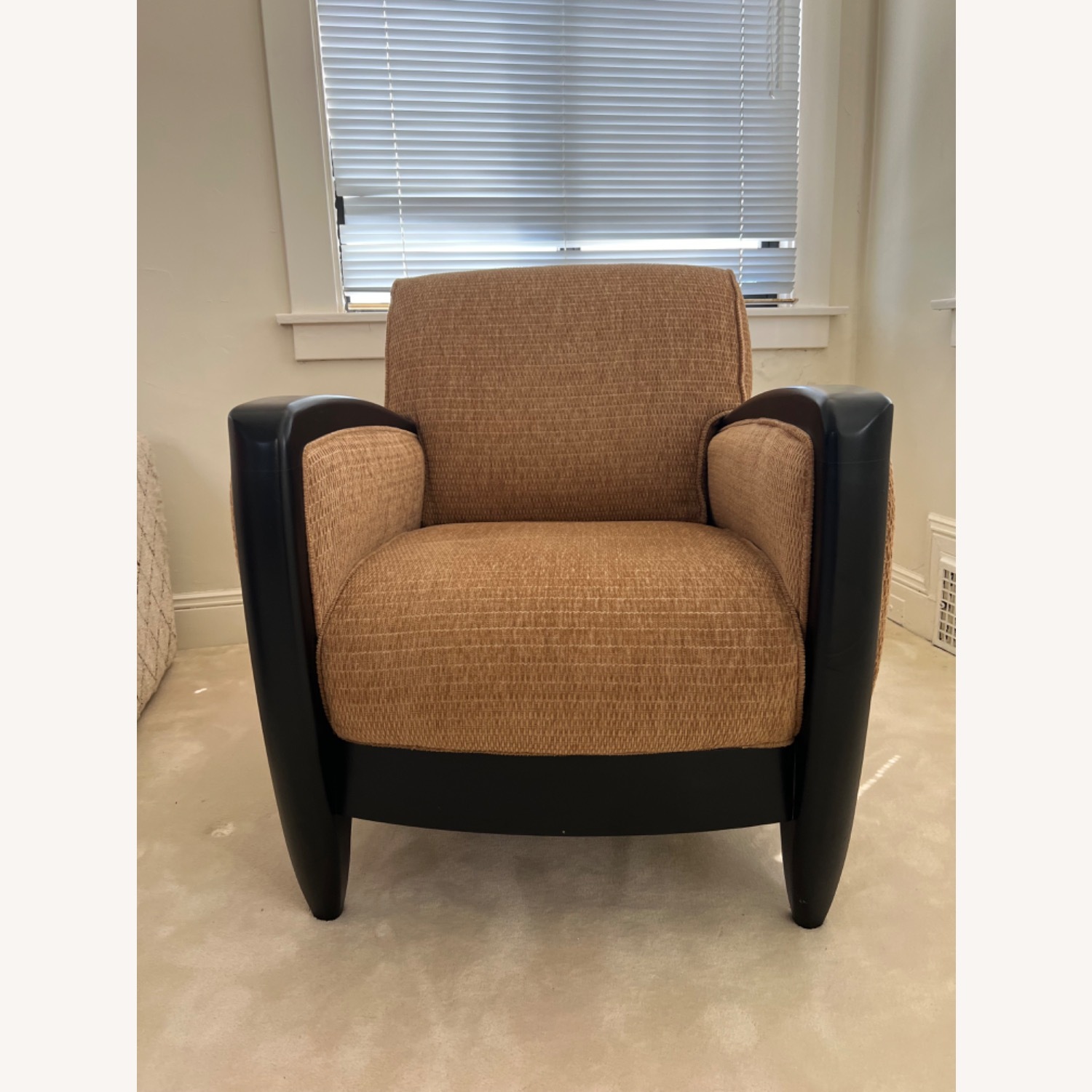 Two Comfortable Arm Chairs - image-4