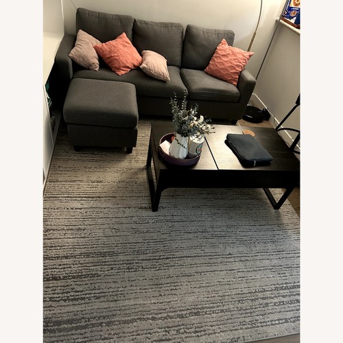 Used Gray Area Rug for sale on AptDeco
