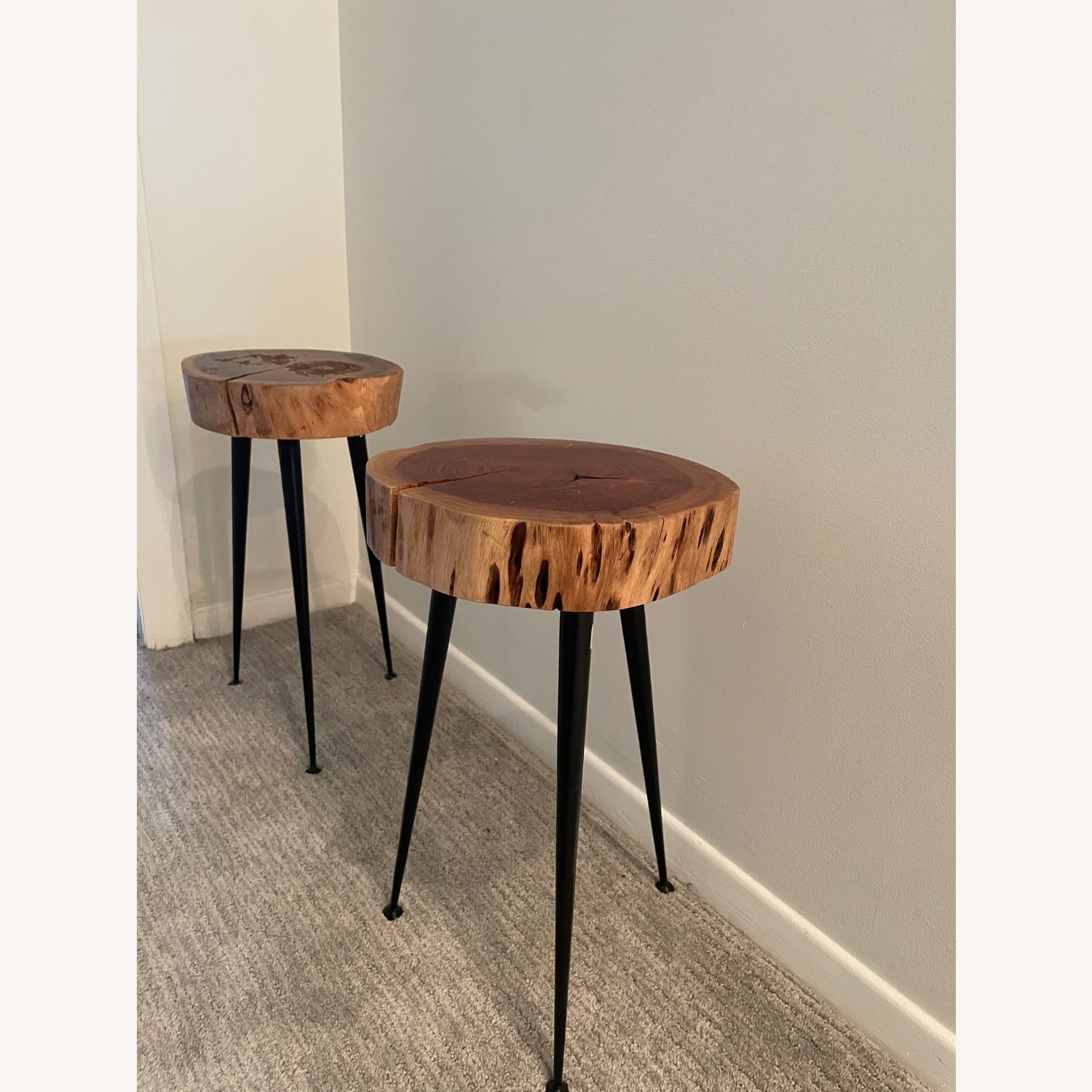 Wood Tree Top Side Tables with Cast Iron Legs - image-2