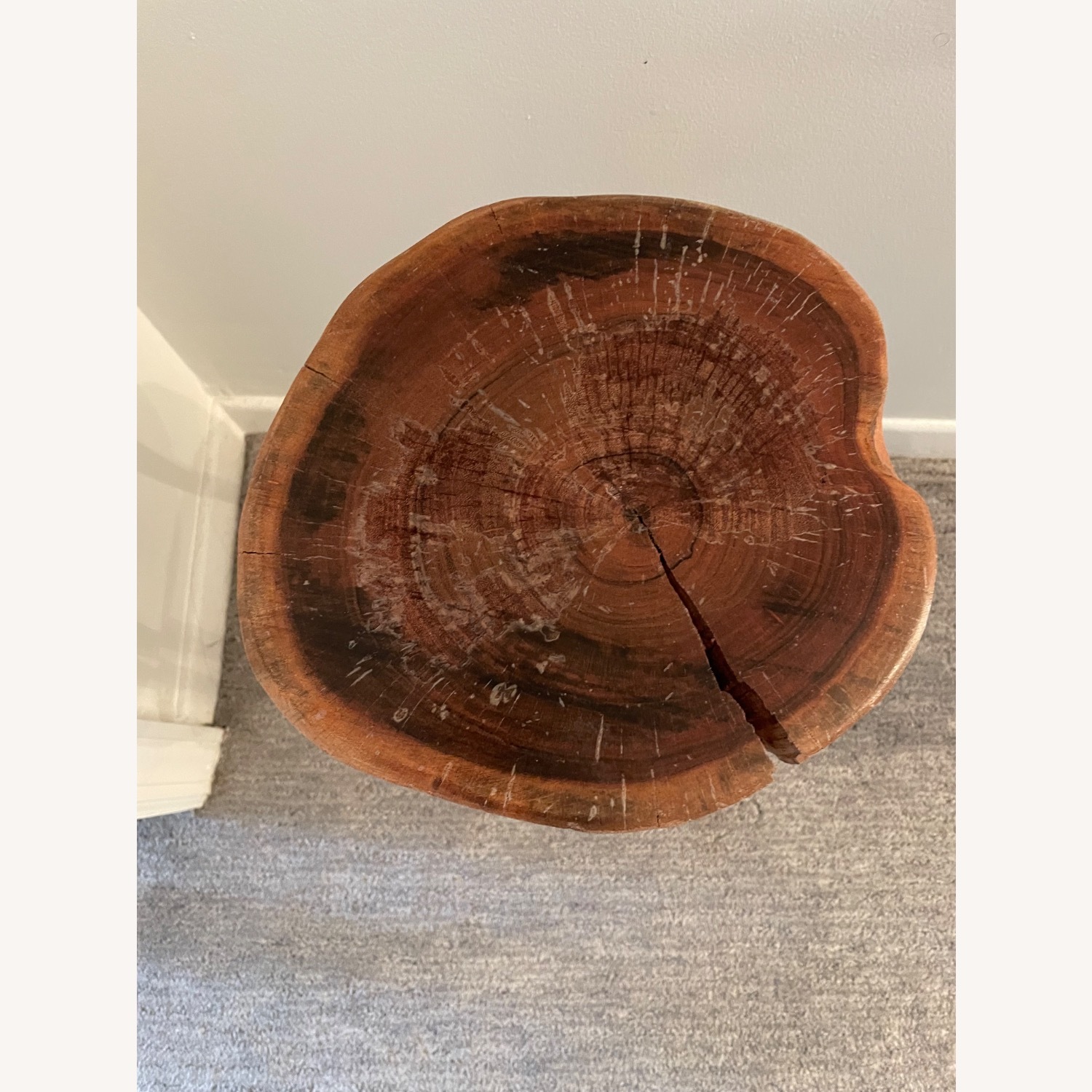 Wood Tree Top Side Tables with Cast Iron Legs - image-8