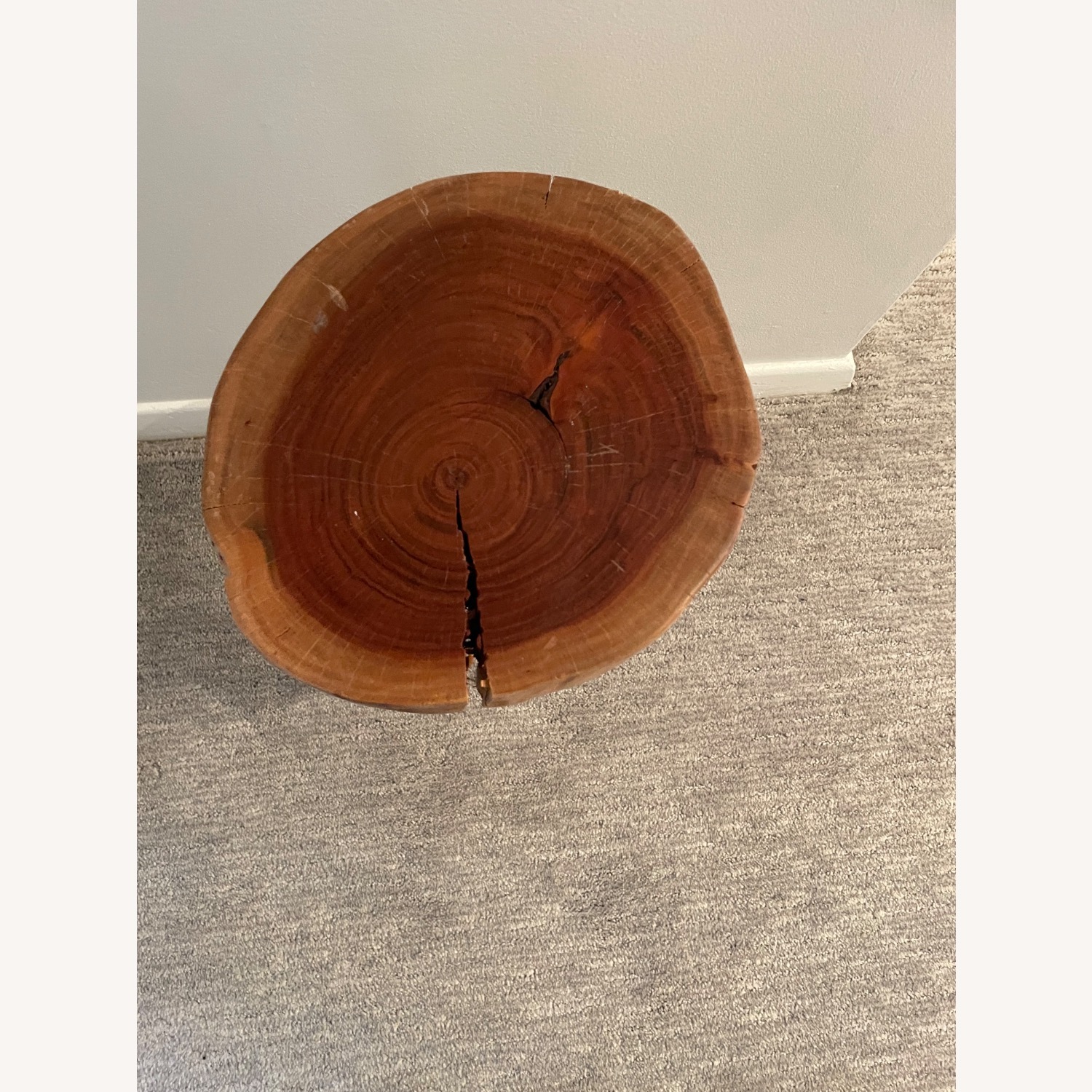 Wood Tree Top Side Tables with Cast Iron Legs - image-7