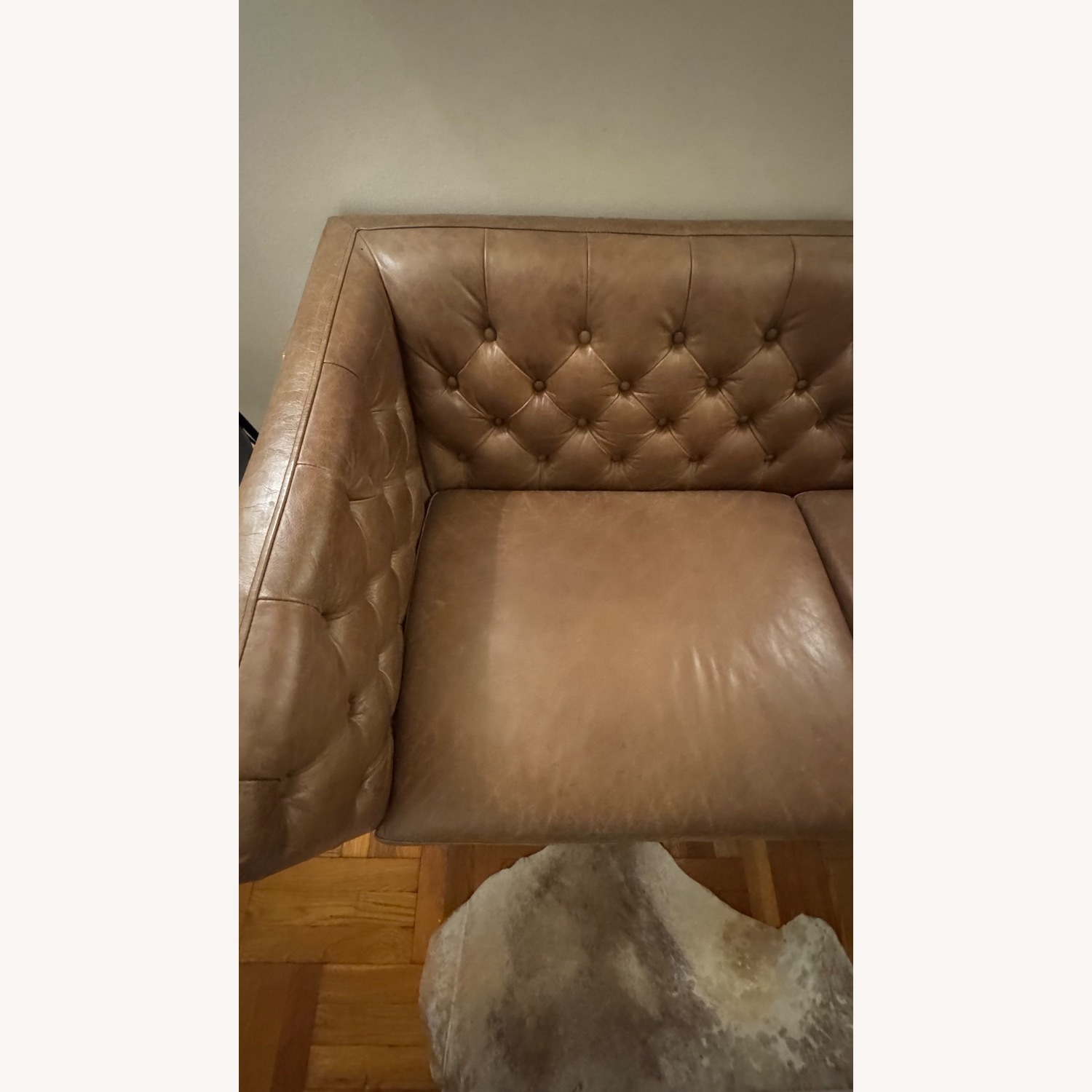 CB2 Saville Leather Sofa Couch - image-5
