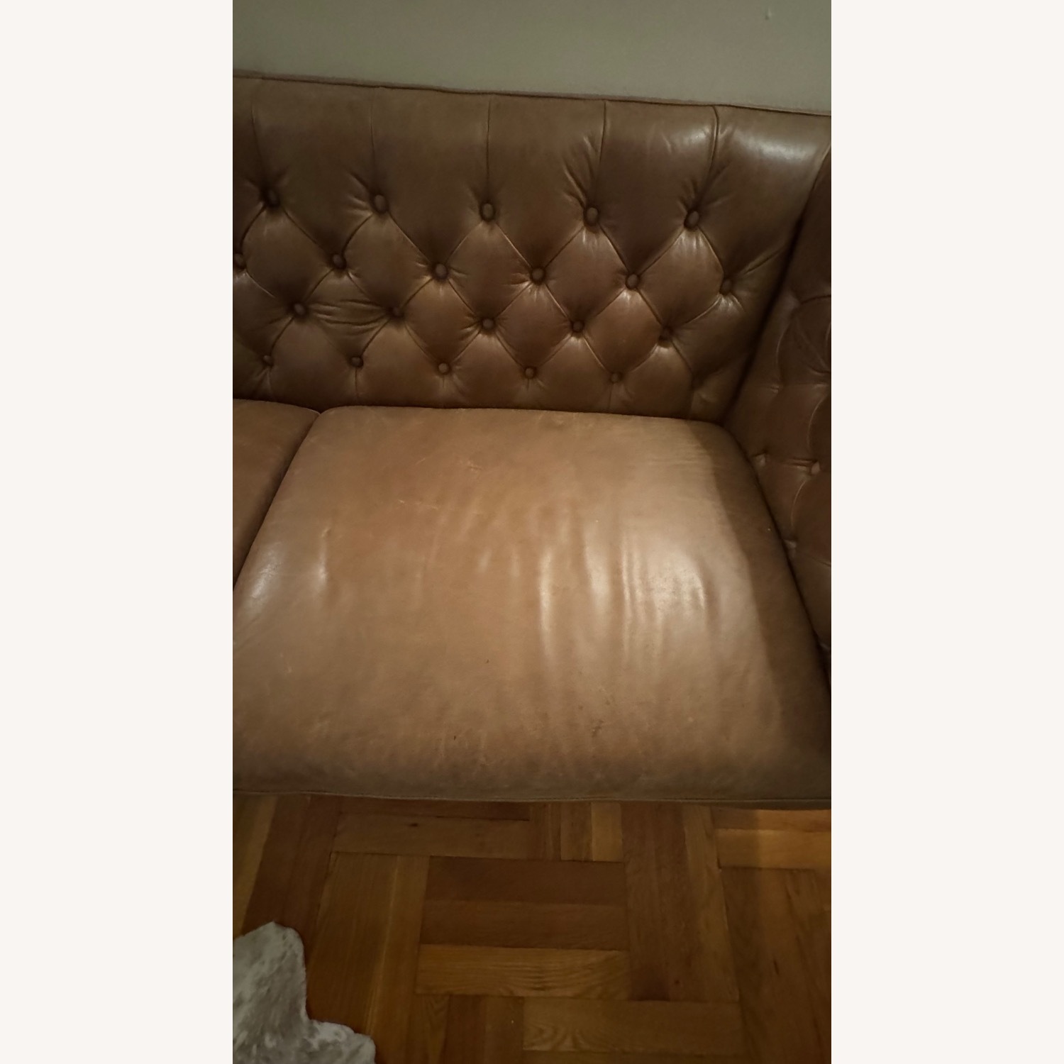 CB2 Saville Leather Sofa Couch - image-6