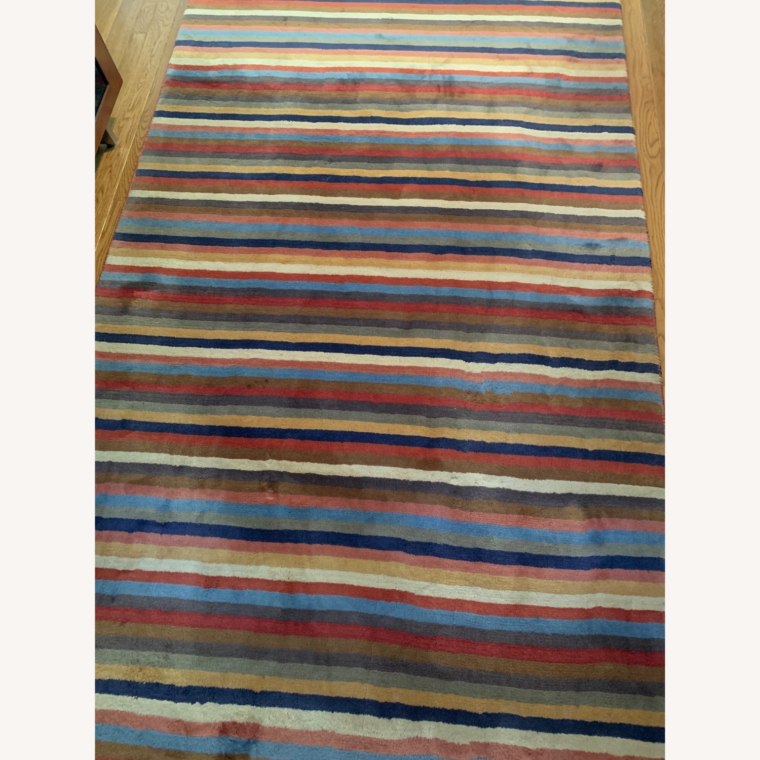 Multi-color Area Rug - image-3