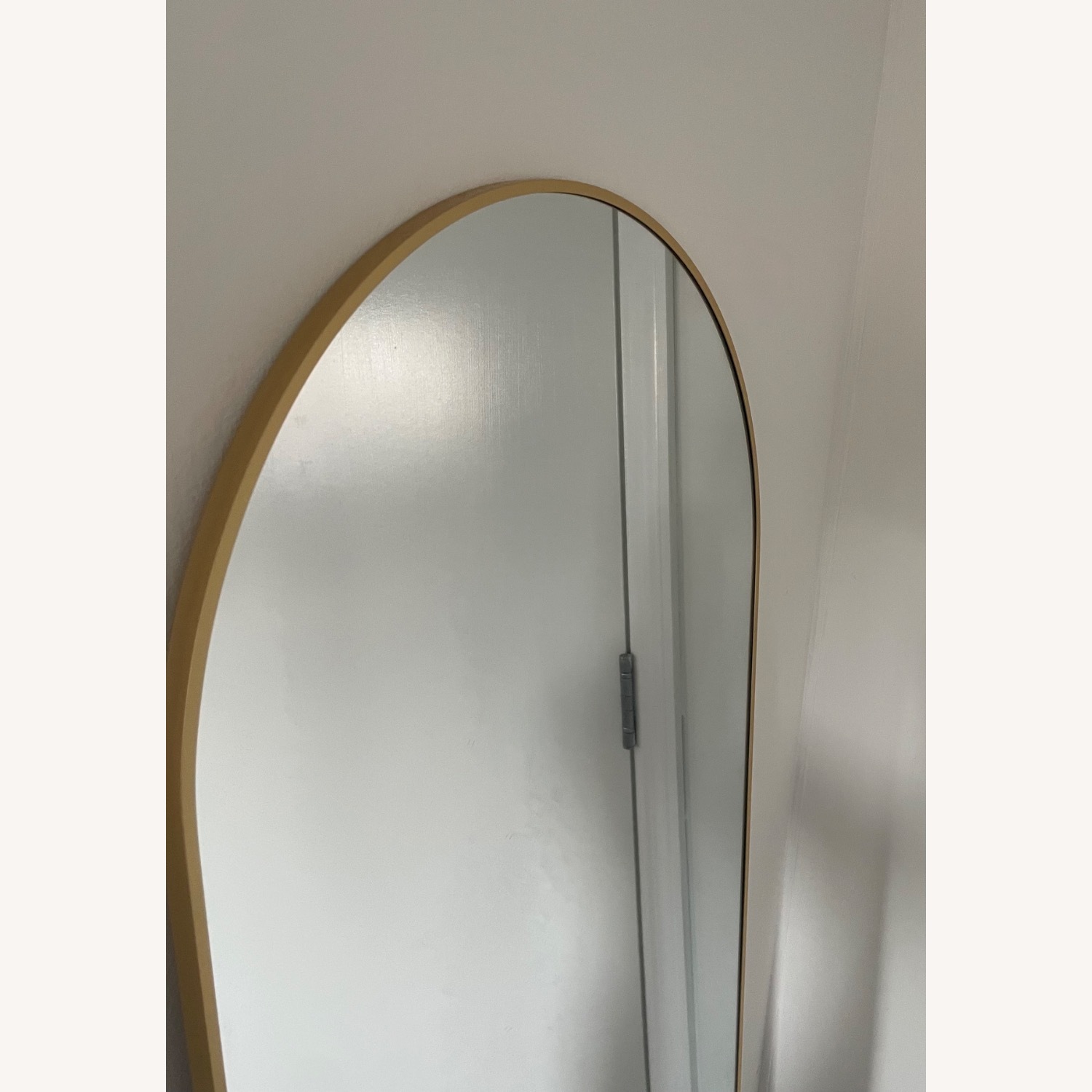 Brushed Floor Gold Mirror - image-9