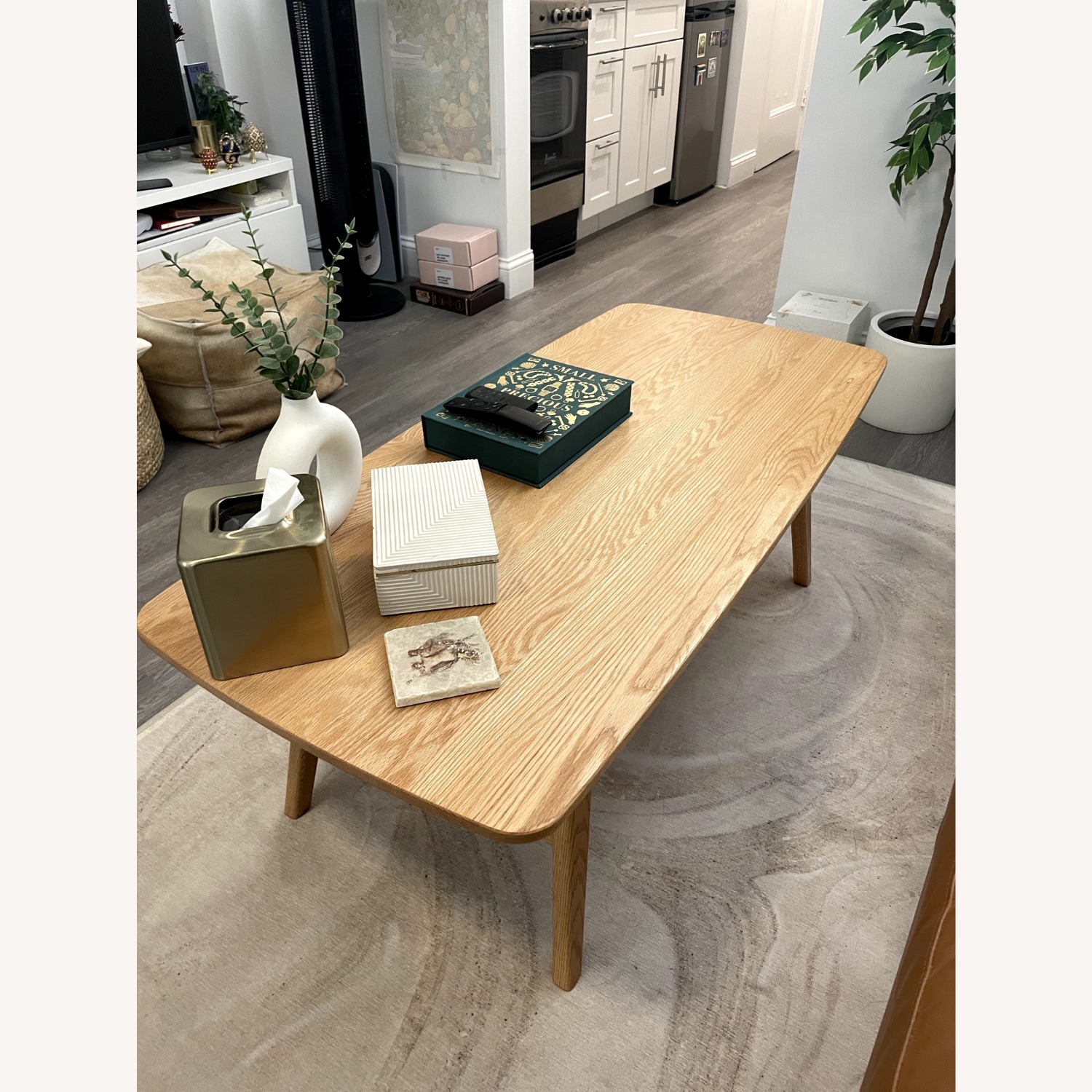 Wayfair Dulcio Coffee Table with Storage Shelf - image-5