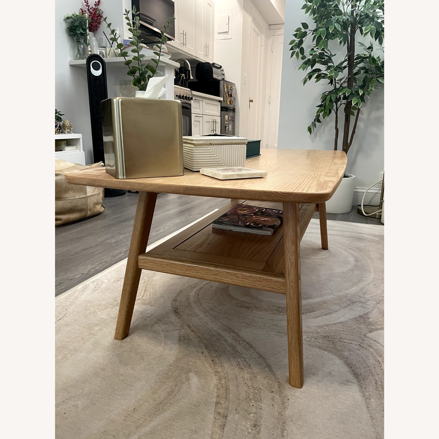 Wayfair Dulcio Coffee Table with Storage Shelf - image-4