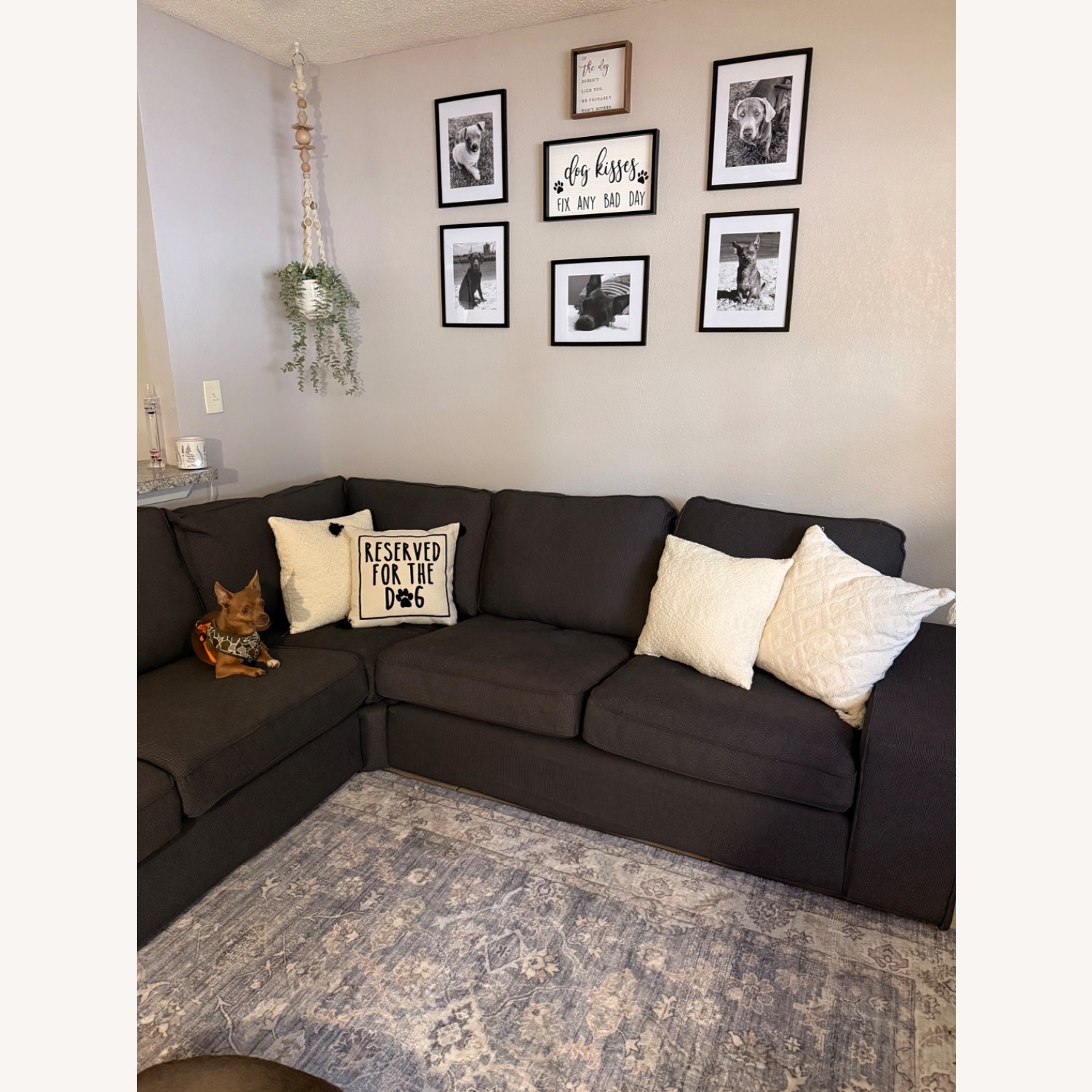 IKEA Kivik Couch - image-1