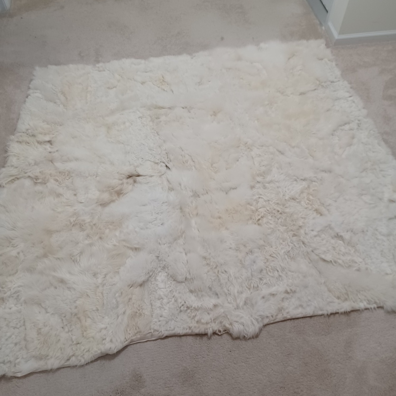 Fur Rug - image-7
