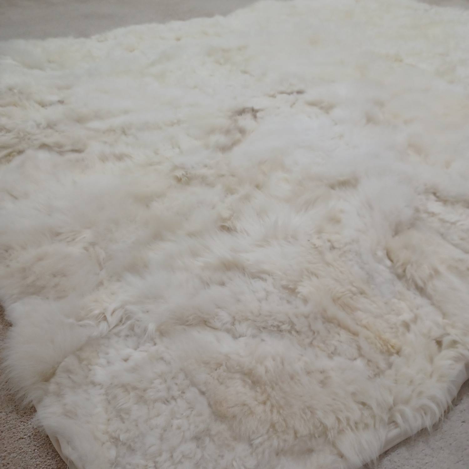 Fur Rug - image-5