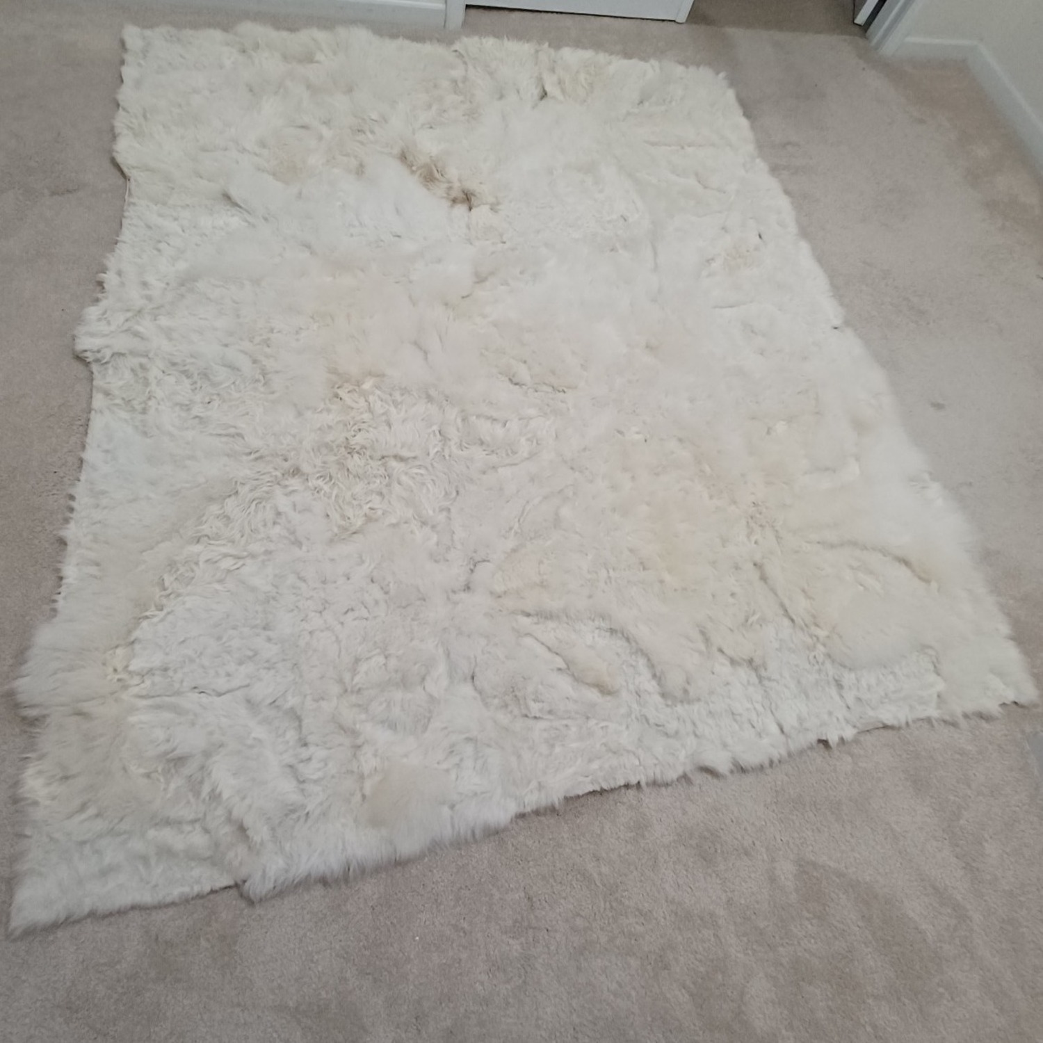 Fur Rug - image-6