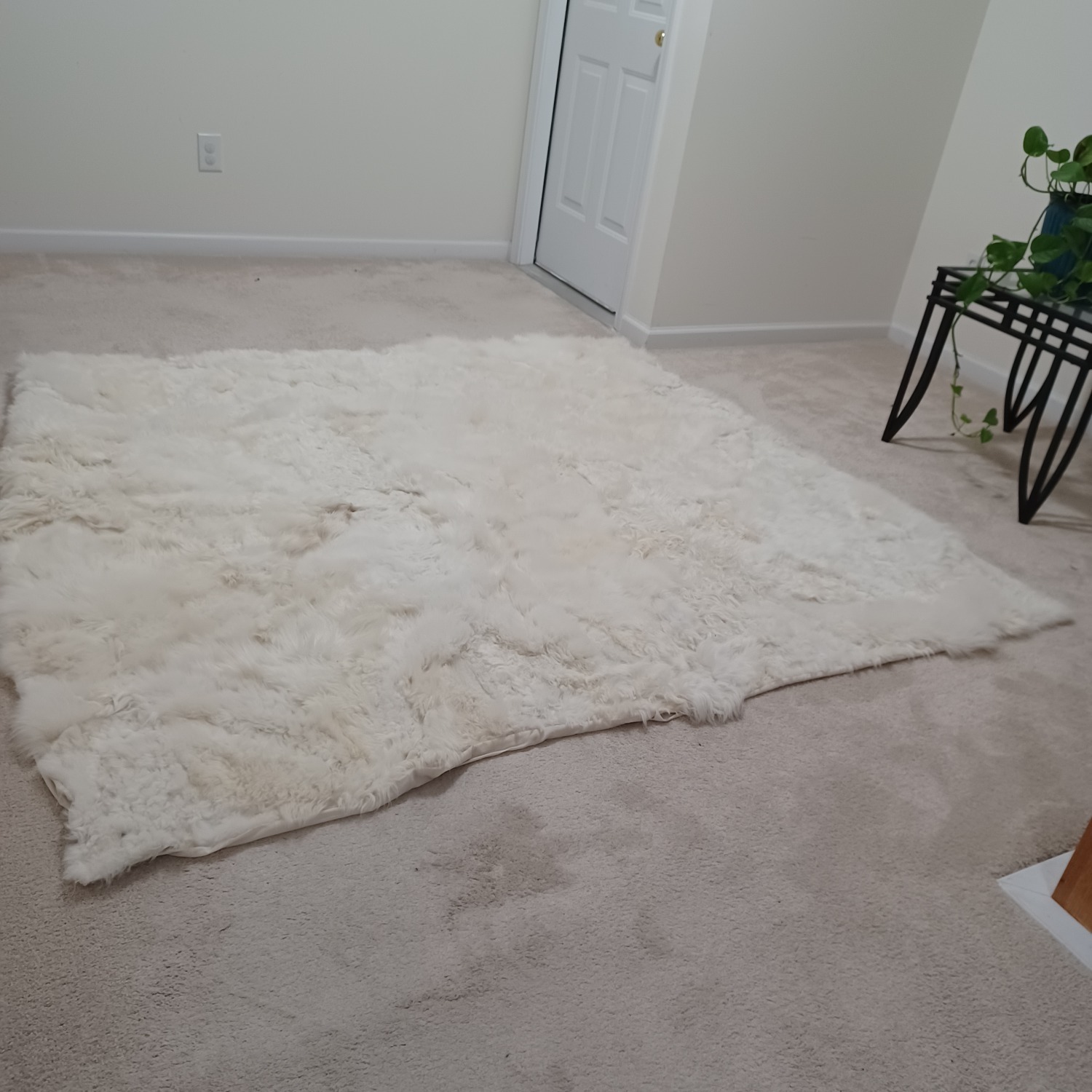 Fur Rug - image-4