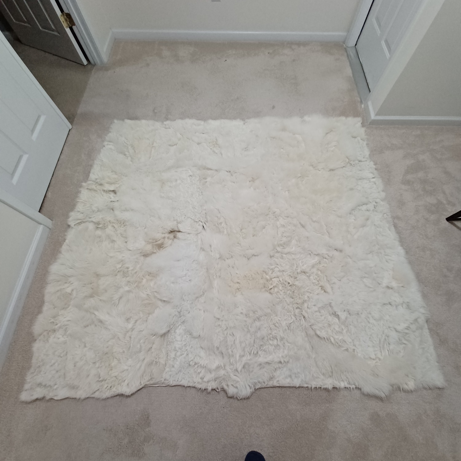 Fur Rug - image-1