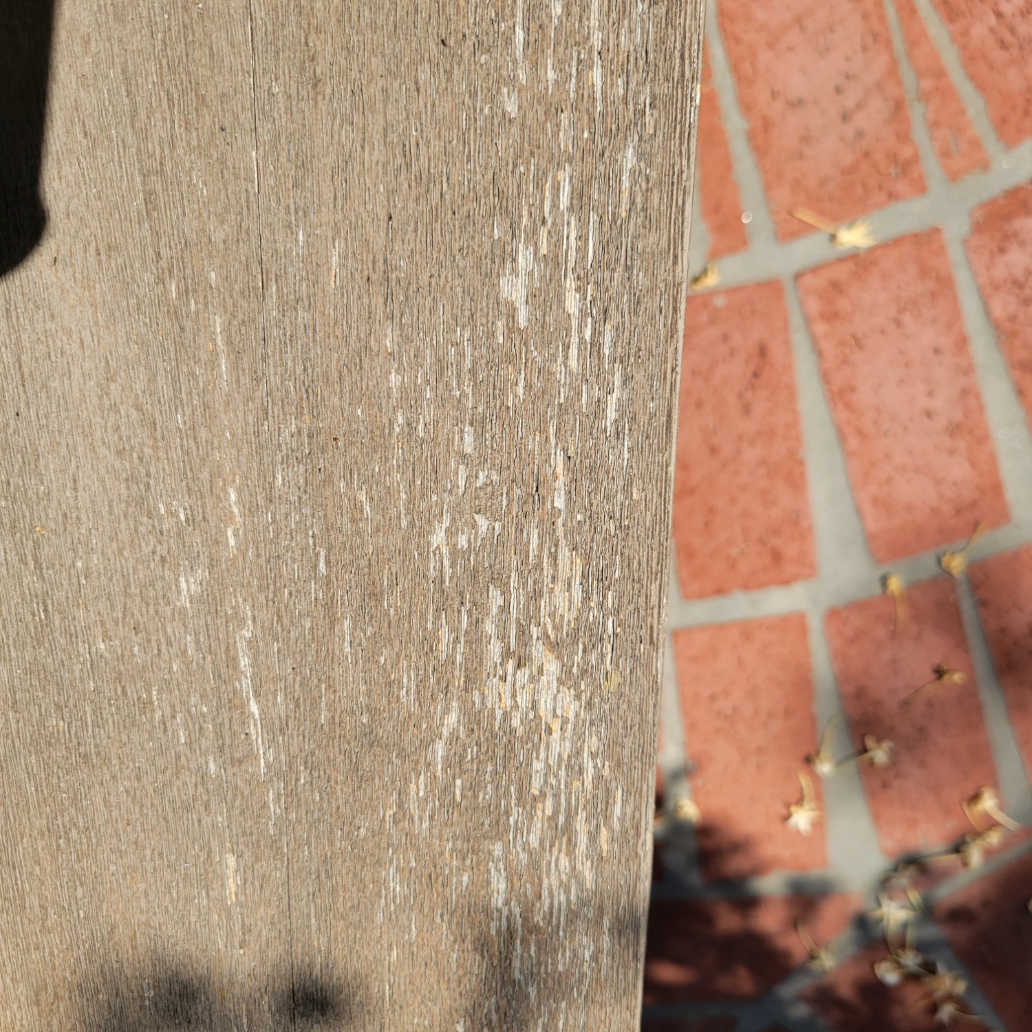 RH Modern Bahia Outdoor Sofa - image-4