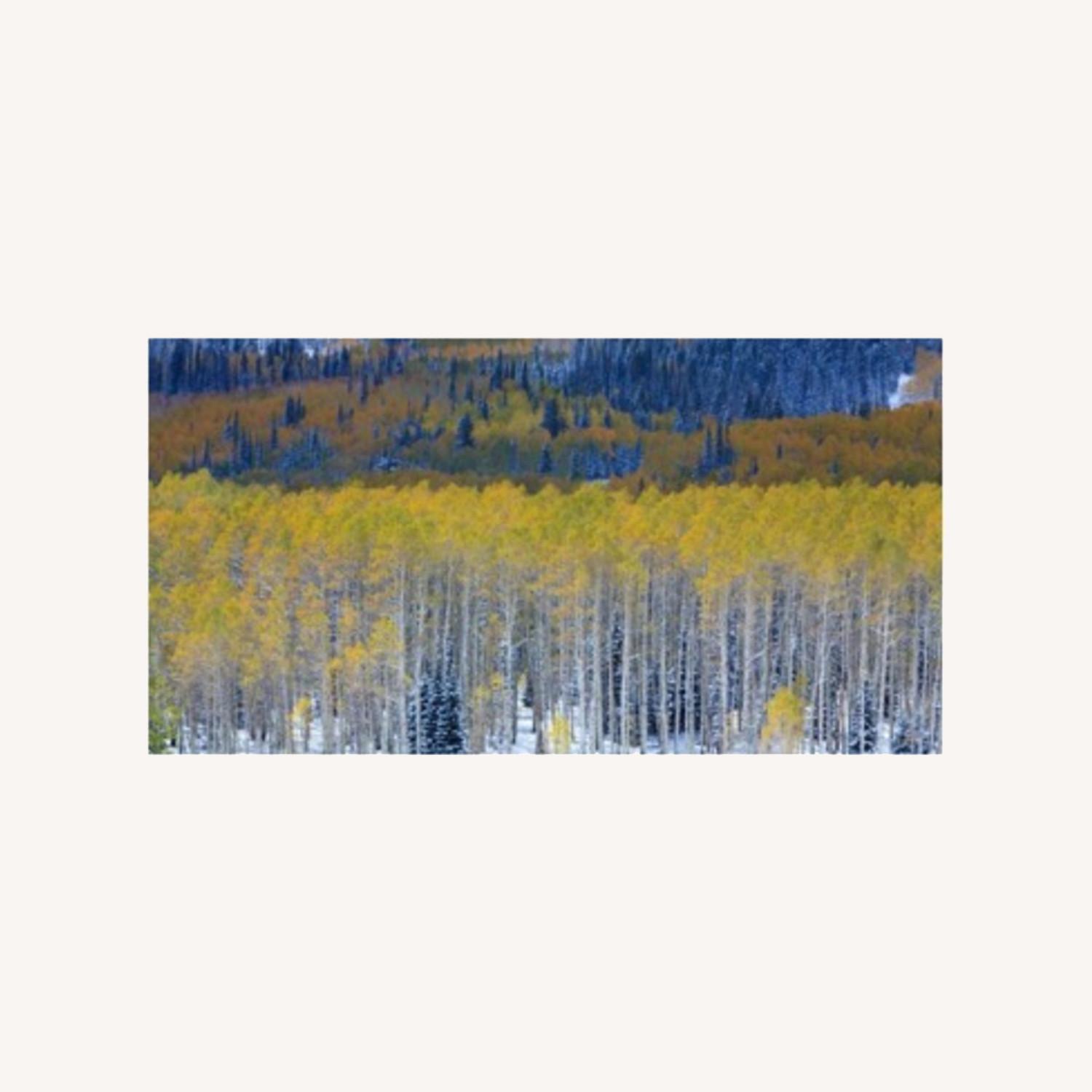 Aspen Trees Wall Art - image-4