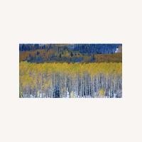 Aspen Trees Wall Art