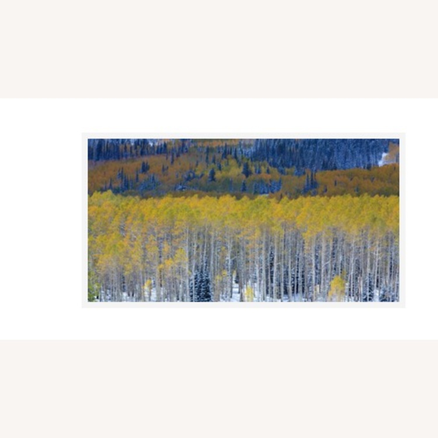 Aspen Trees Wall Art - image-3