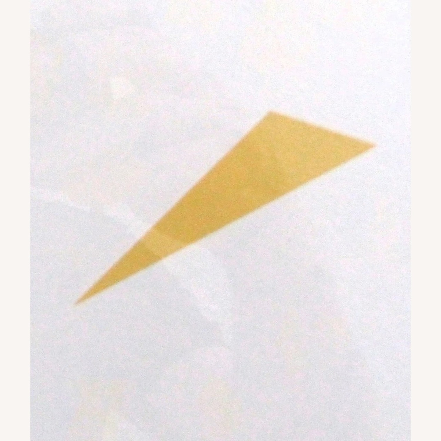 Judith Murray Lincoln Center Mozart Bicentennial - image-5