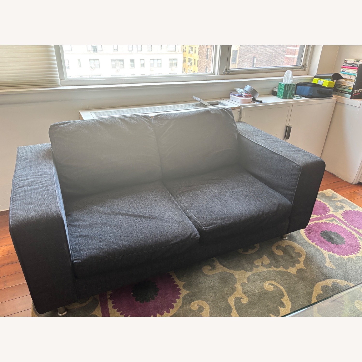 BoConcept Modern and Comfortable 2 Seater Sofa - image-1