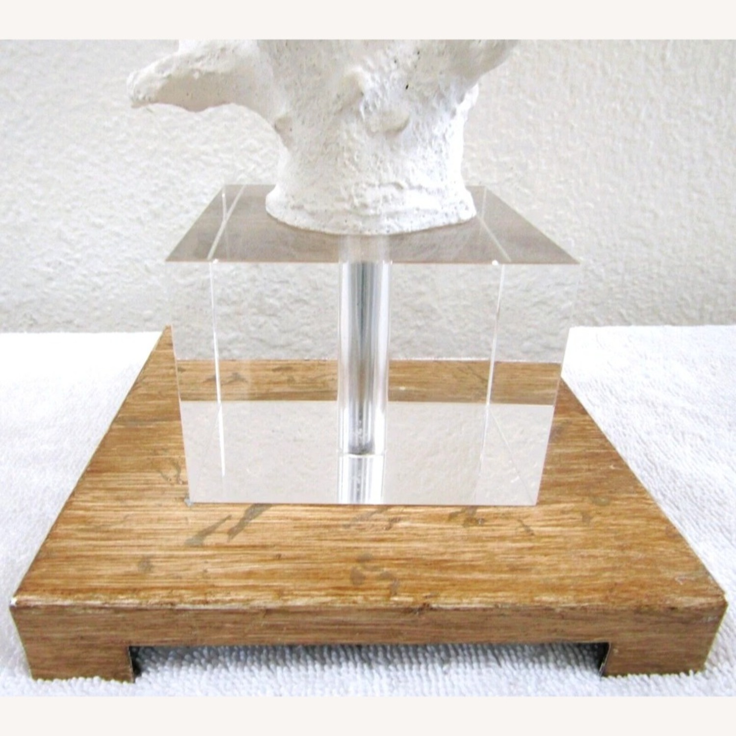 Pair of Uttermost Corallo White Coral Table Lamps - image-3