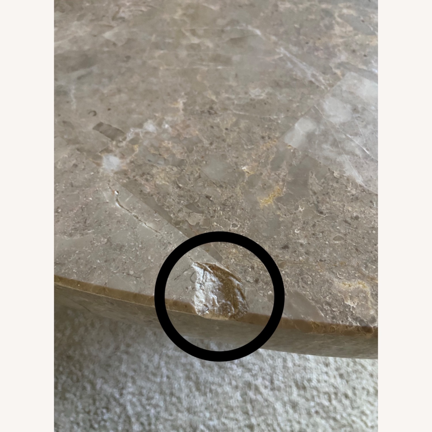 Carena 52-inch Round Biege Marble Top Table - image-2