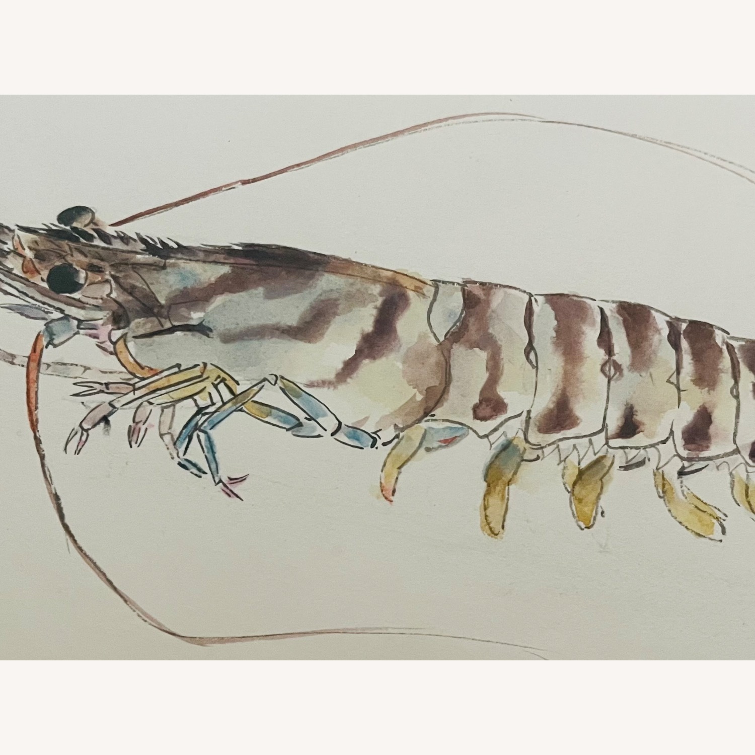 Mid Century Japanese Watercolor "Crawfish" - Kyoto - image-4