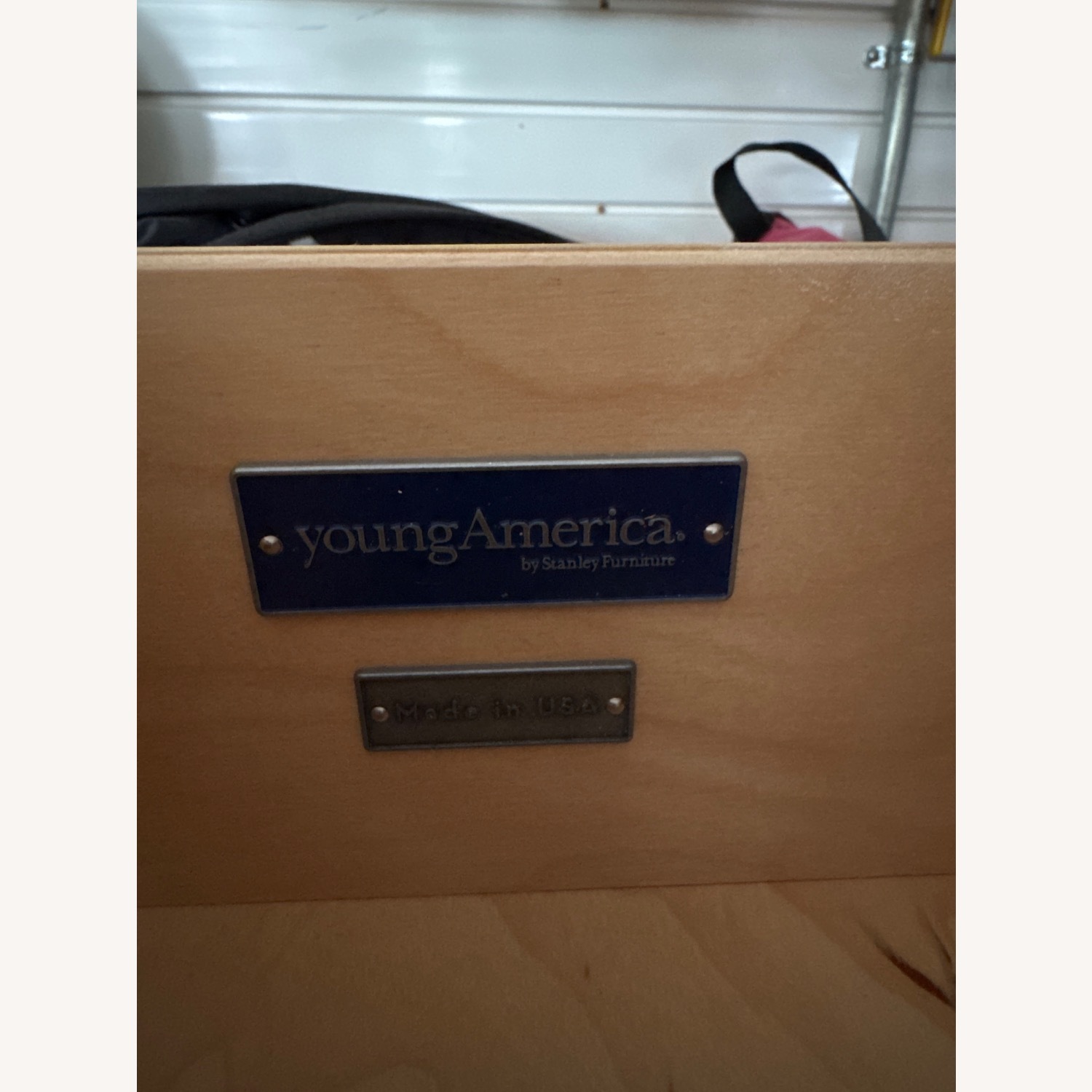 Stanley Young America Secretary - image-3