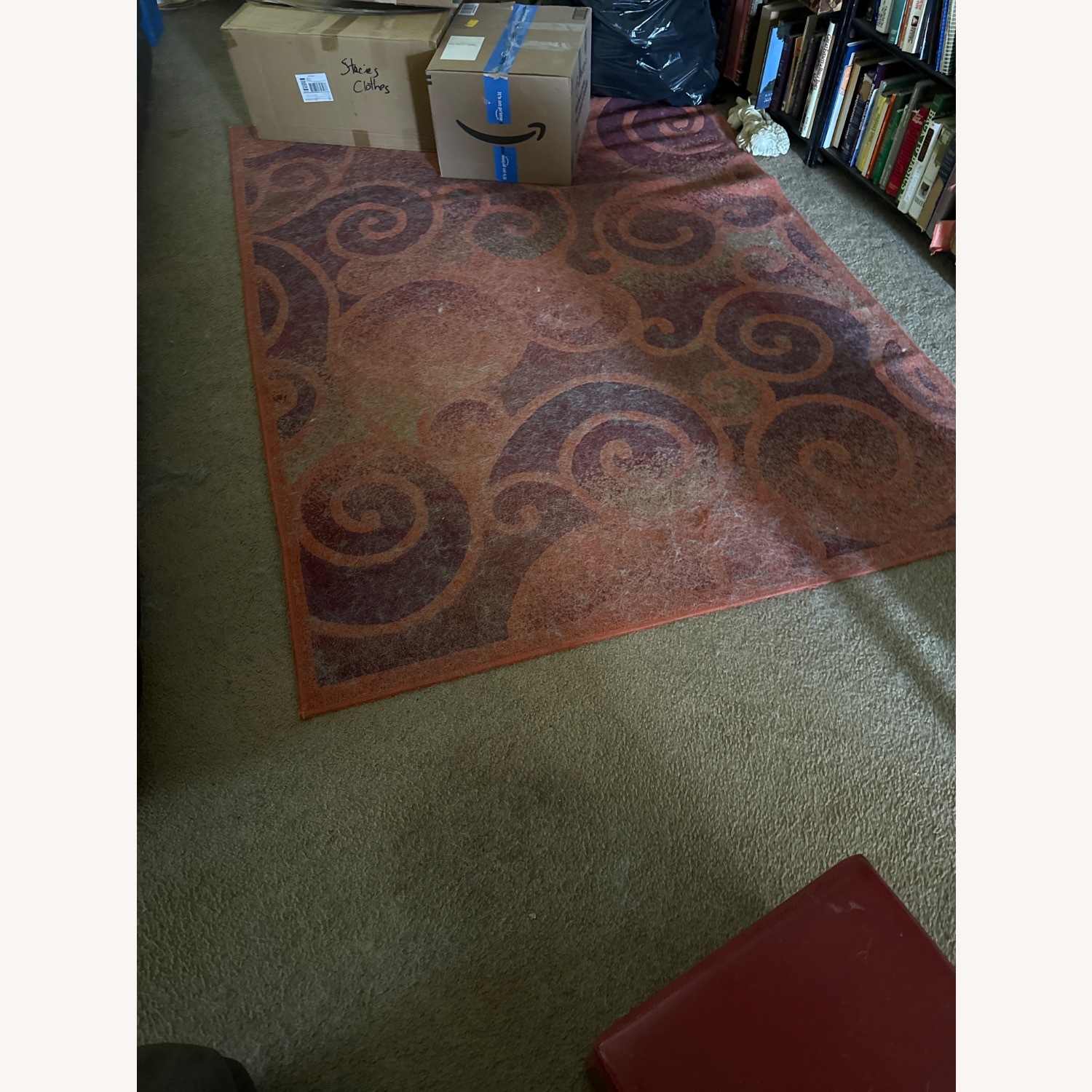 Area Rug - image-1