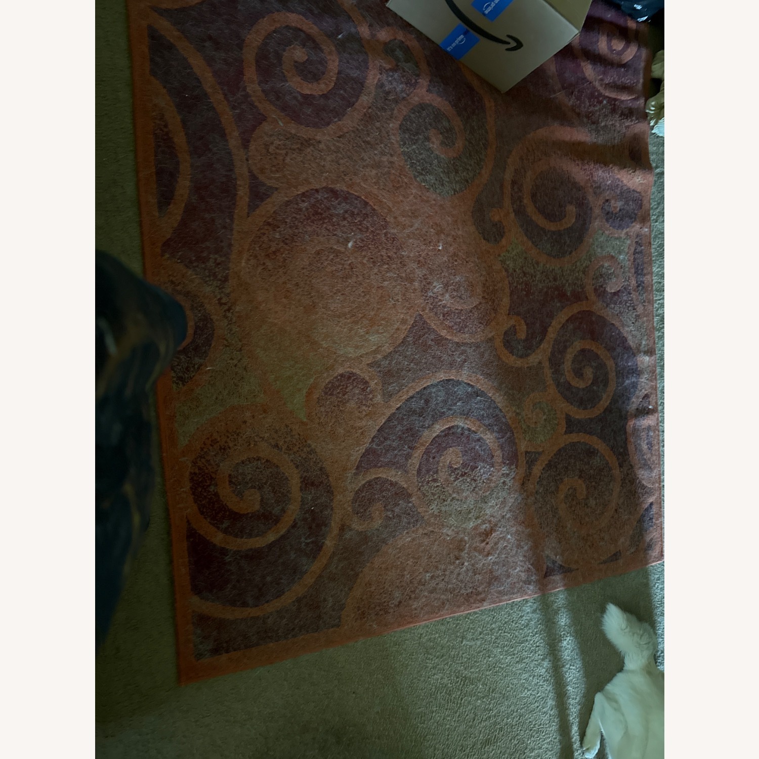 Area Rug - image-2