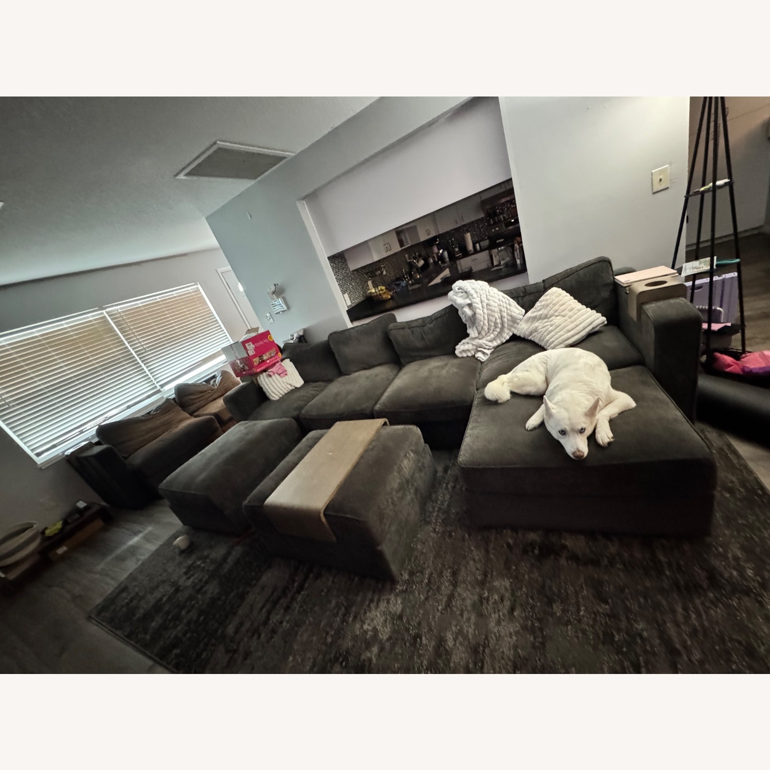 LoveSac Couch - image-1