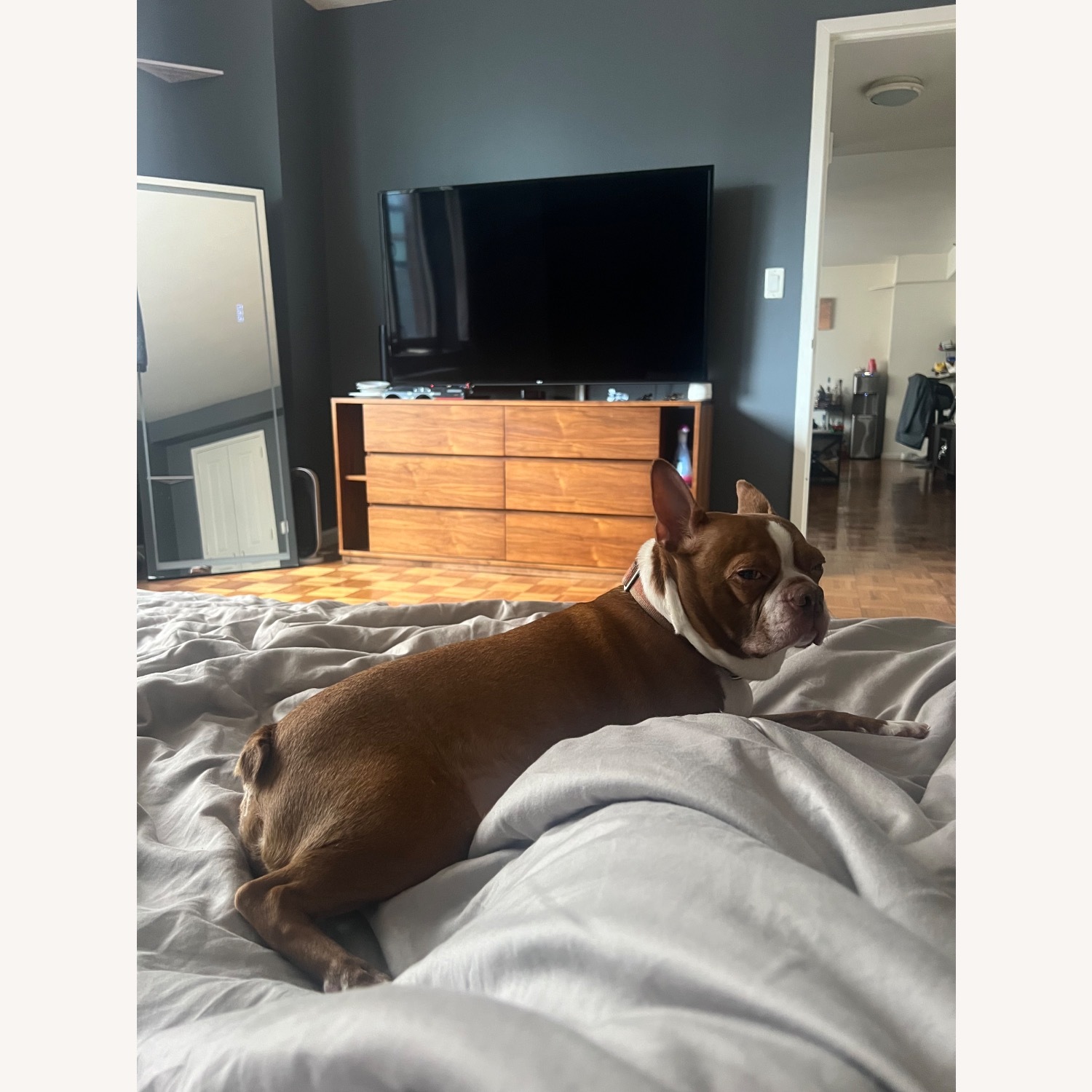 AllModern 6-Drawer Walnut Dresser - image-2