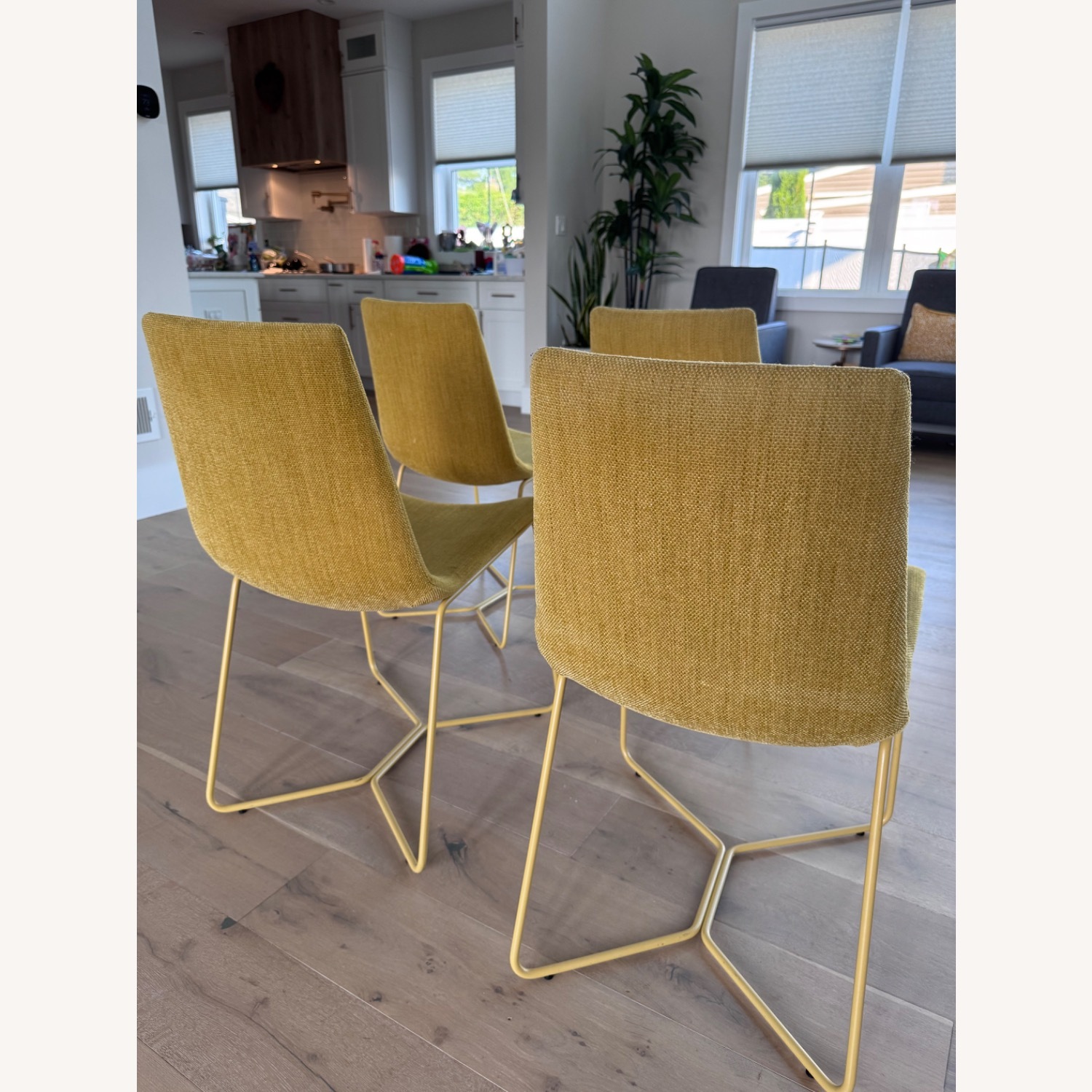 Mod Yellow Dining Chairs - AptDeco