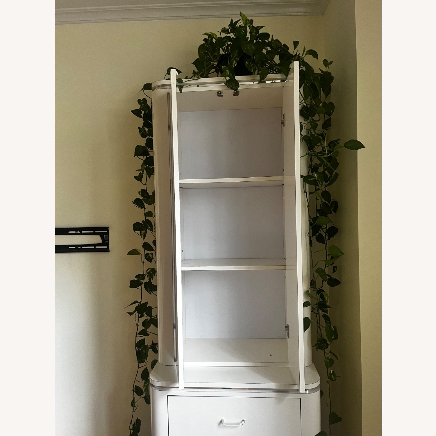 80’s Lacquer Cabinets  - image-3