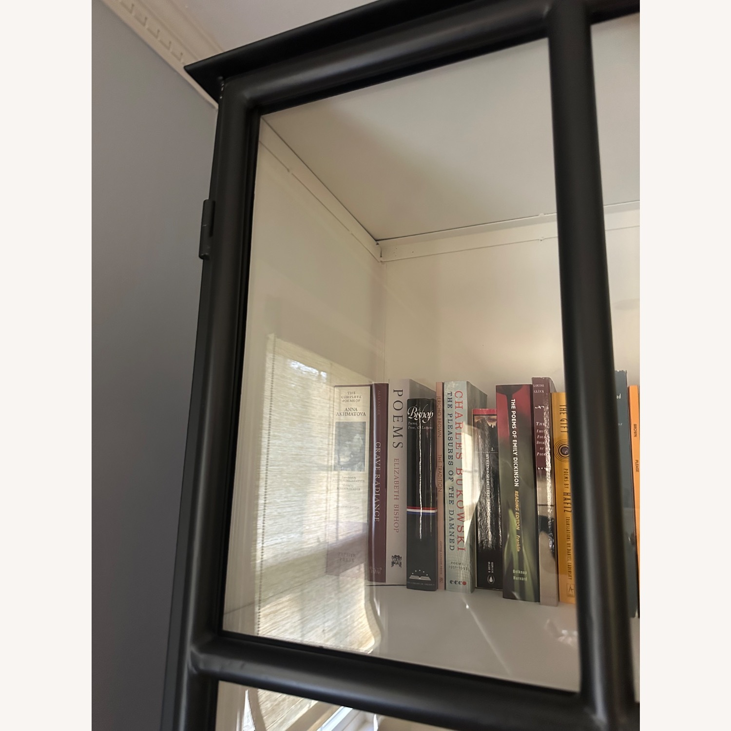 Glass Door Cast Iron Cabinet/Bookshelf - image-7