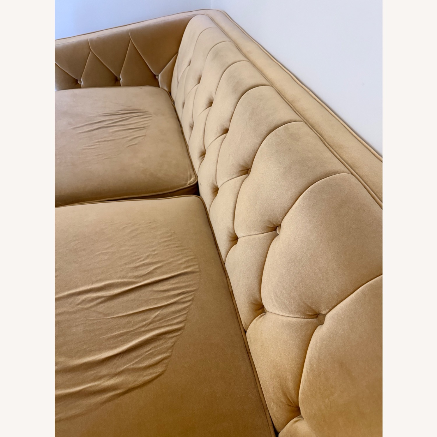 Rove Concepts Scarlett Sofa - image-5