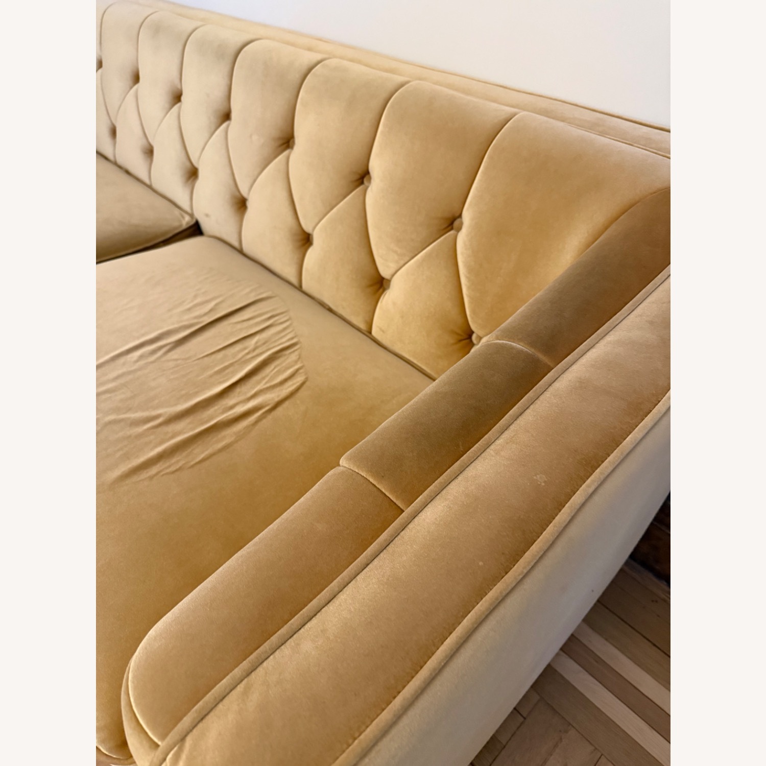 Rove Concepts Scarlett Sofa - image-4