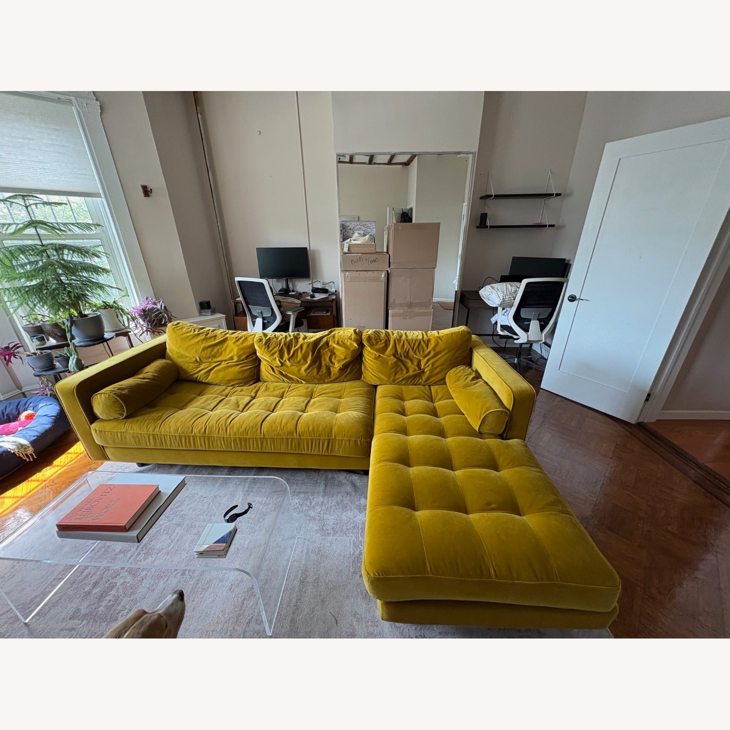 Article Sven Velvet Sectional - image-1