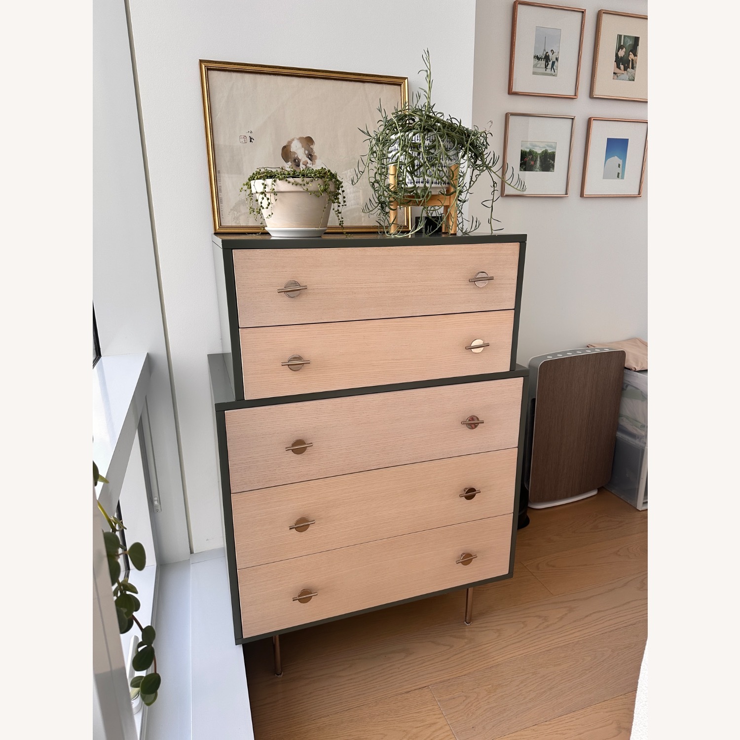 West Elm Greta 5 Drawer Dresser - image-10