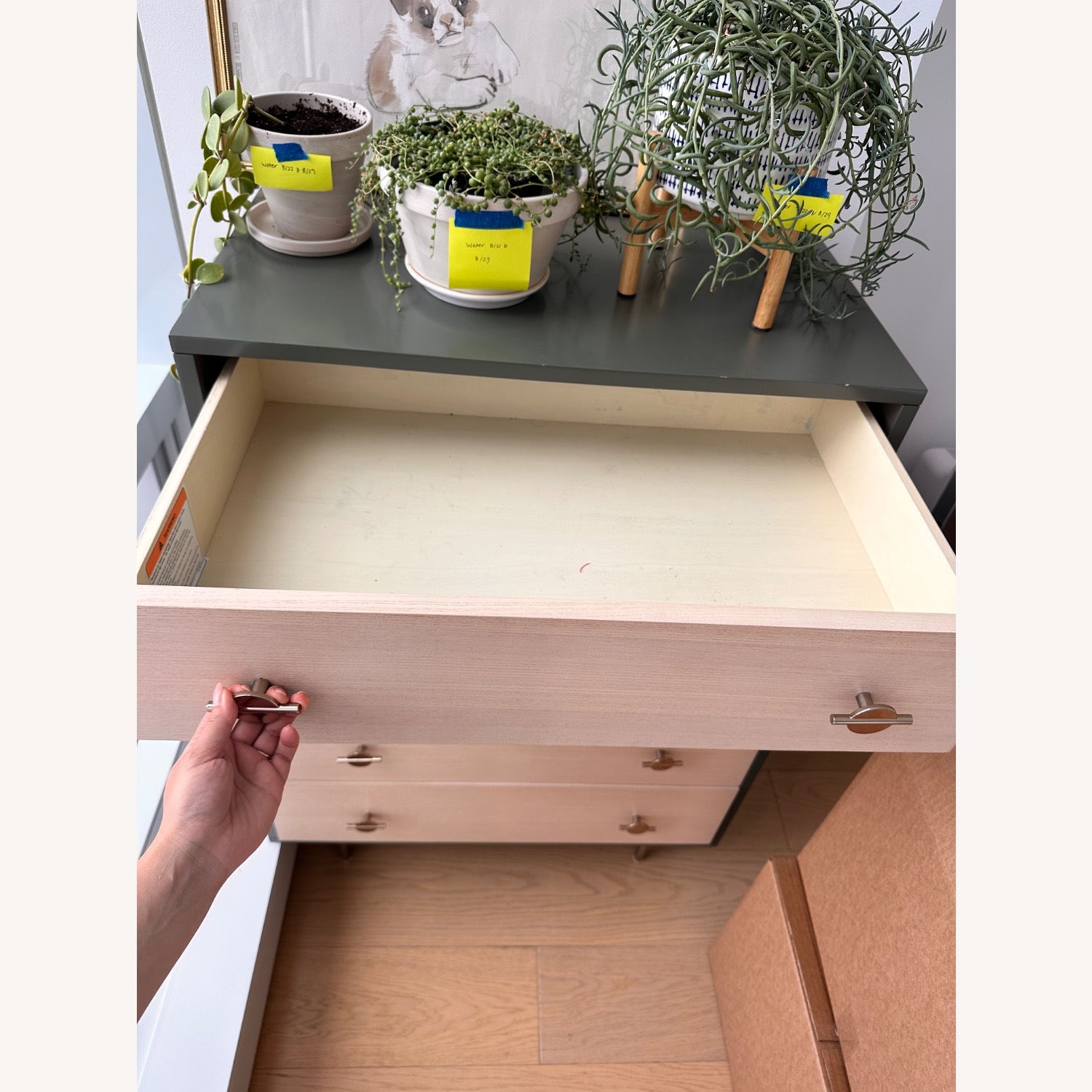 West Elm Greta 5 Drawer Dresser - image-3