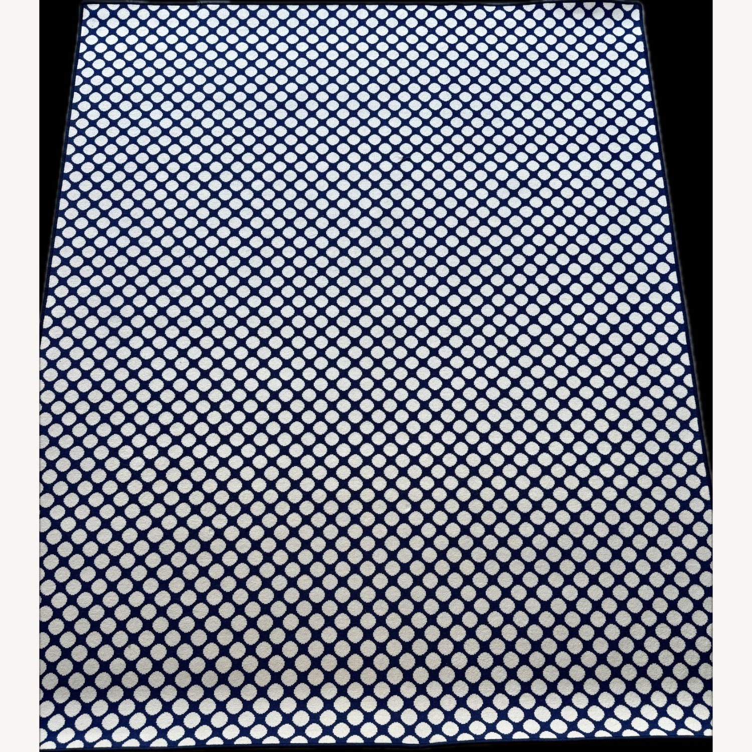 Abbey Carpet SF Jump Area Rug - Navy/White - image-2