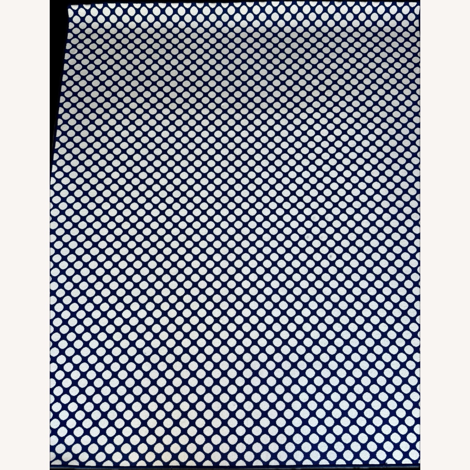 Abbey Carpet SF Jump Area Rug - Navy/White - image-0