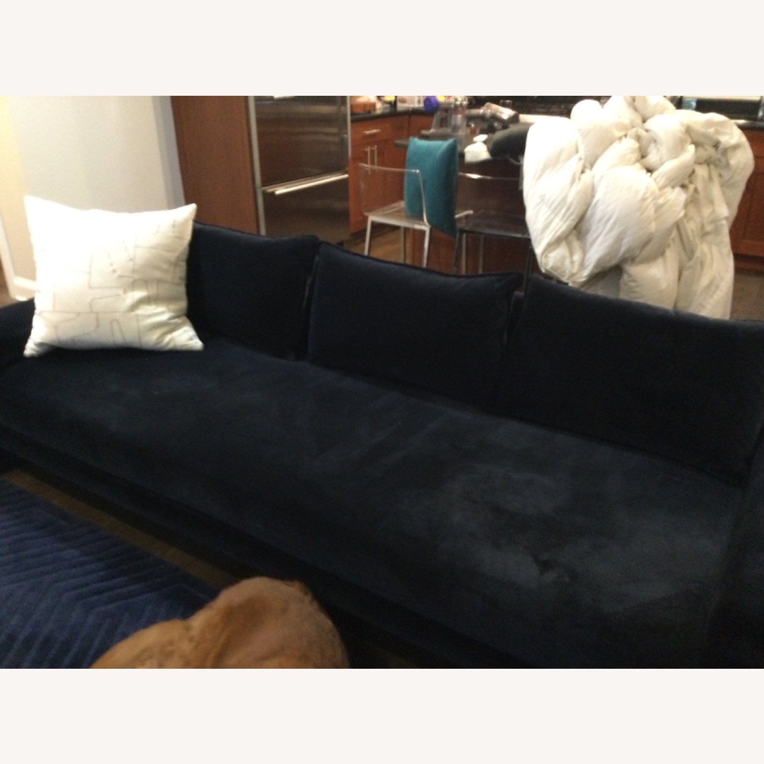 CB2 Camden Midnight Blue Velvet Sofa - image-8