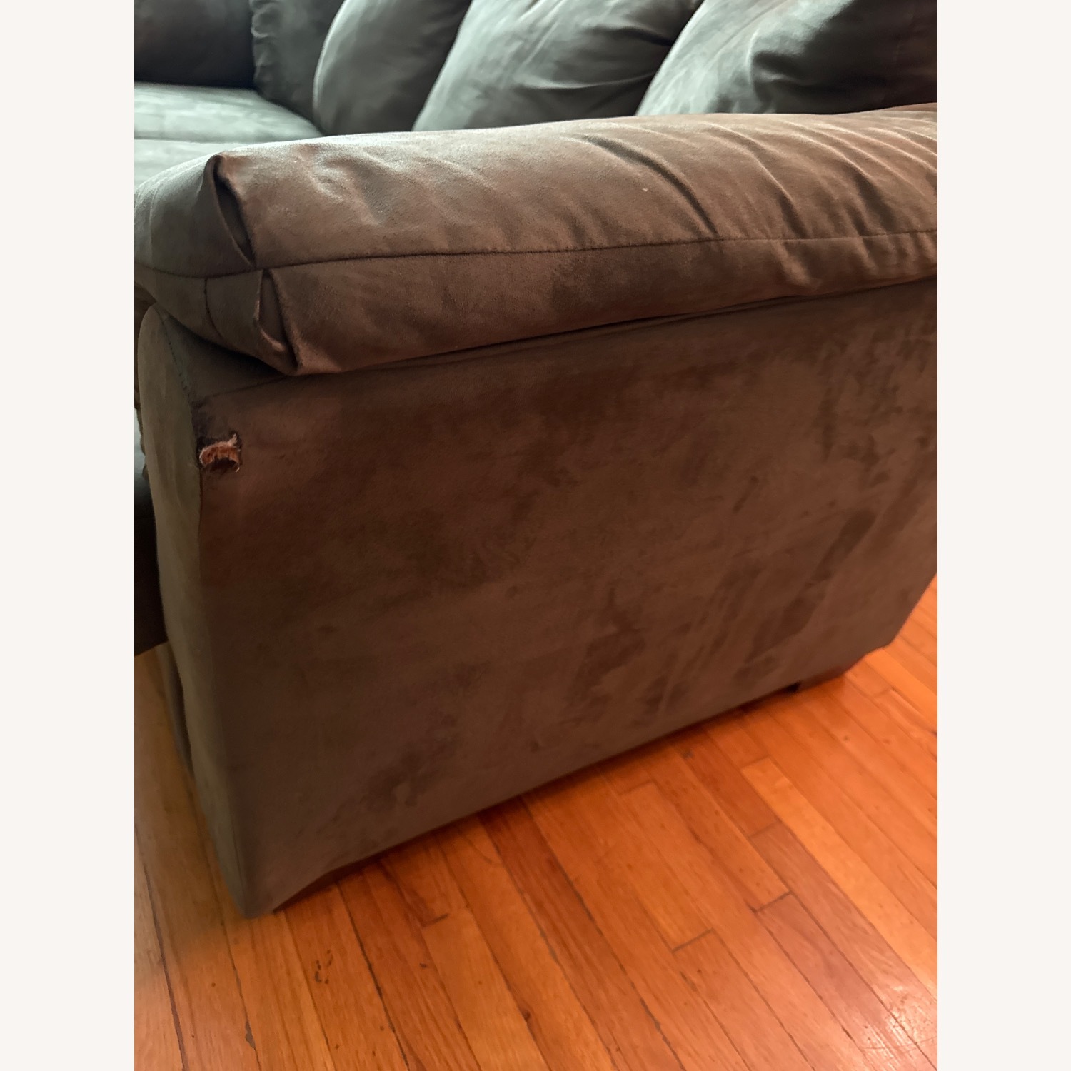 Darcy 2 Sofa - image-2