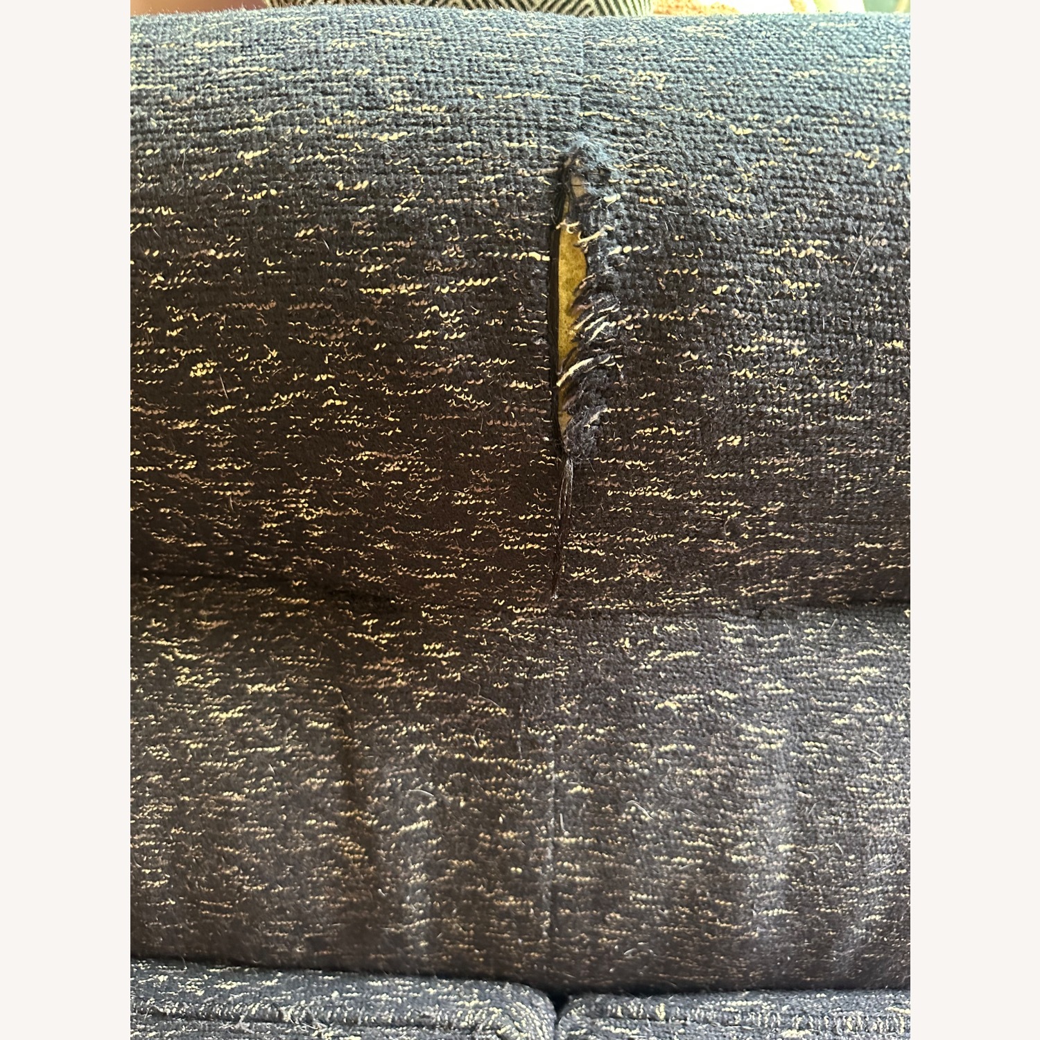 West Elm Mid Century Denmark Sofa - image-2