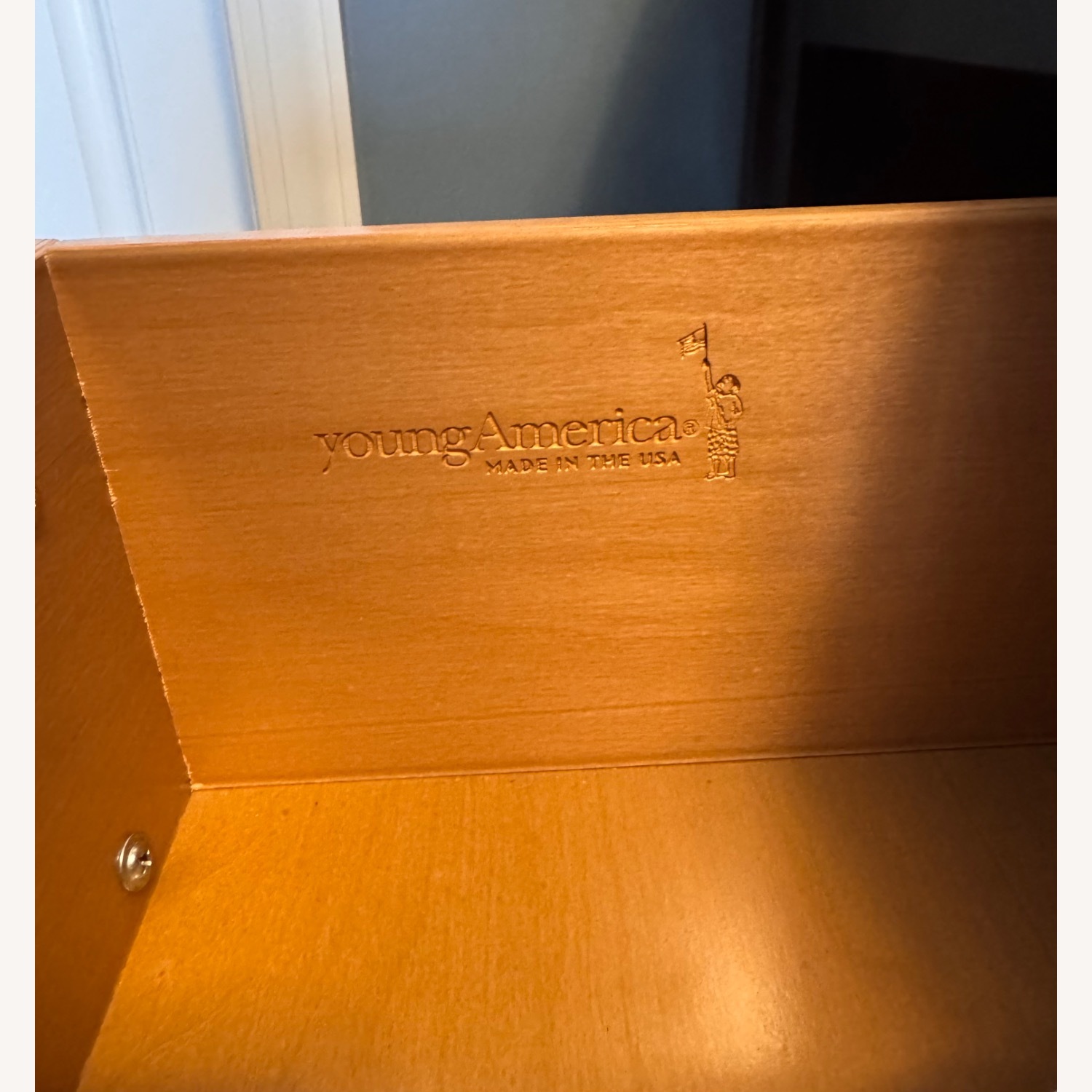 Stanley Young America Twin Bed with Storage  - image-5