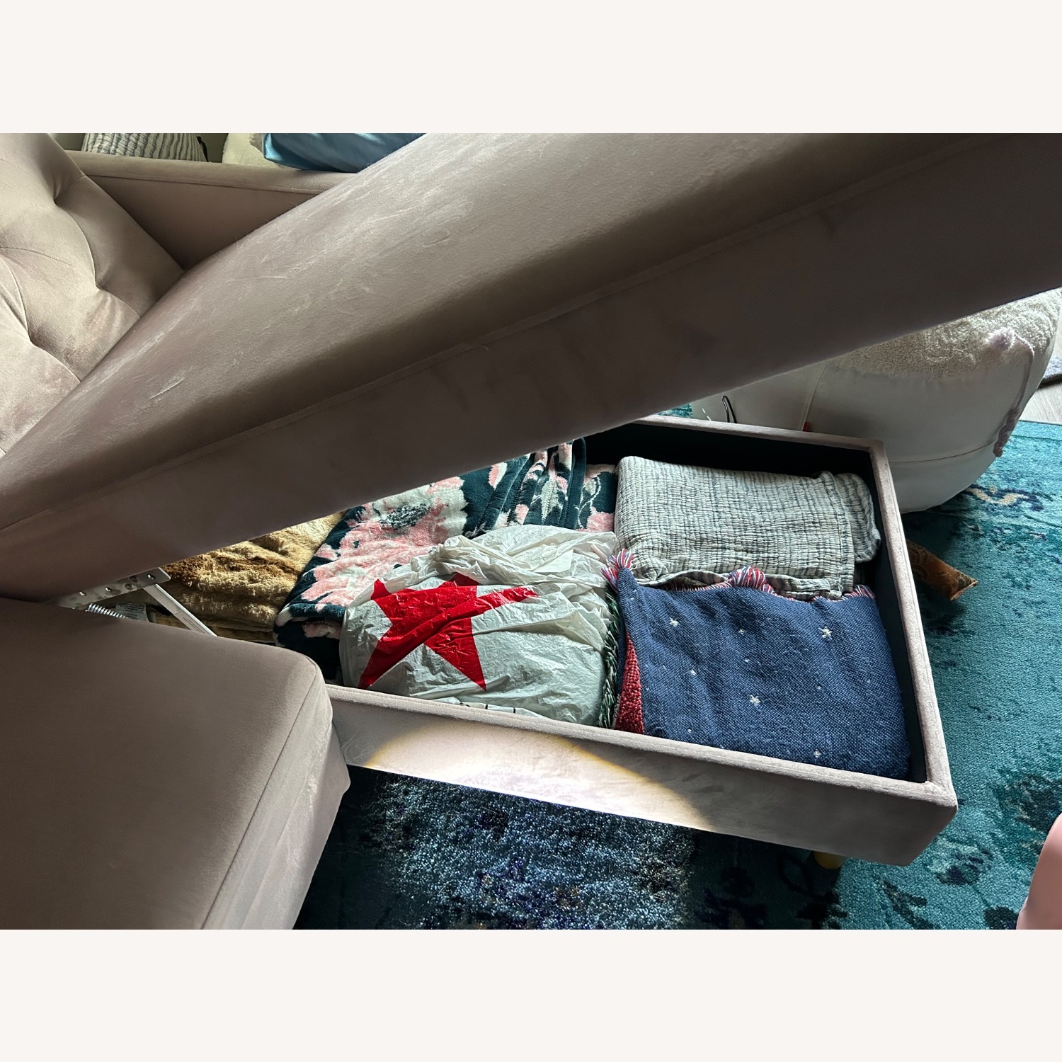 Sofa With Storage/Extended Bed - image-4