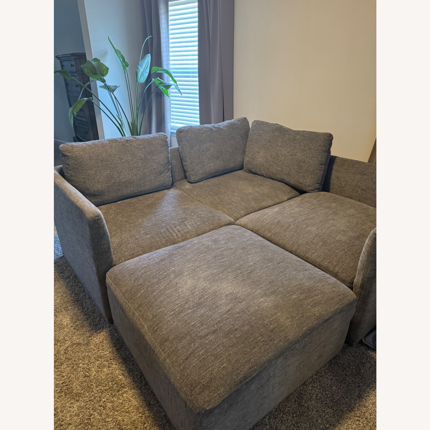 Comfy Sleep Sofa - image-3