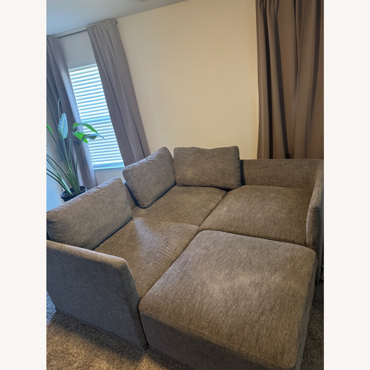 Comfy Sleep Sofa - image-2