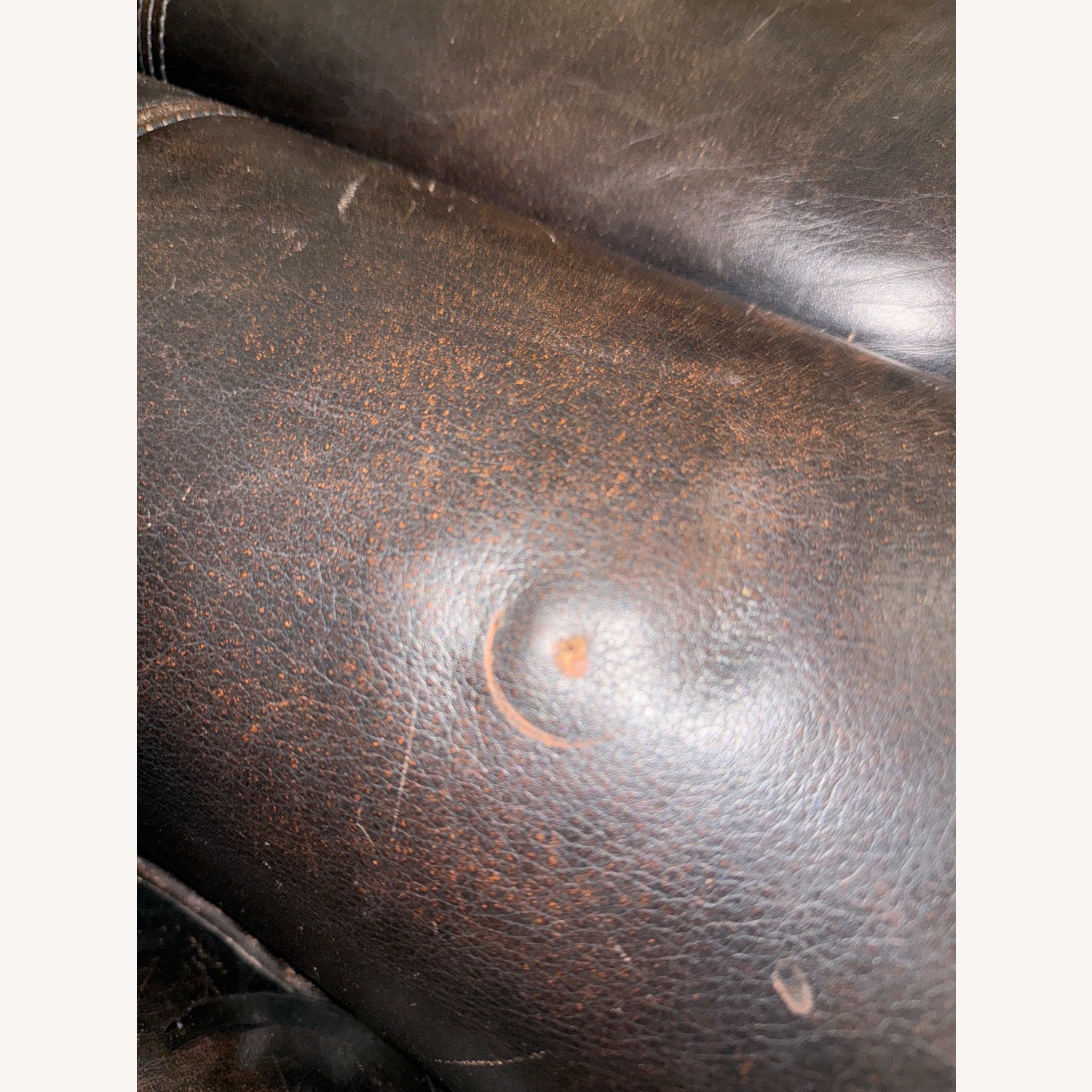 Oversized Chairs - image-5