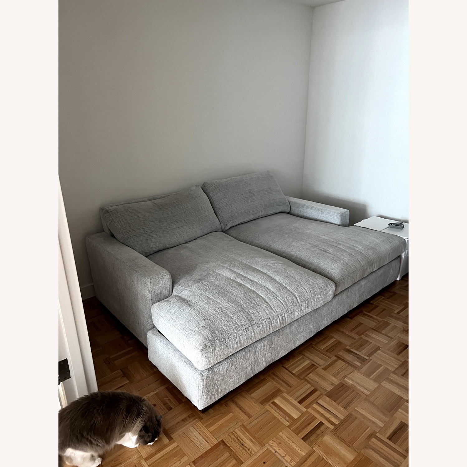 Joybird Anton Dove Grey Daybed - image-1